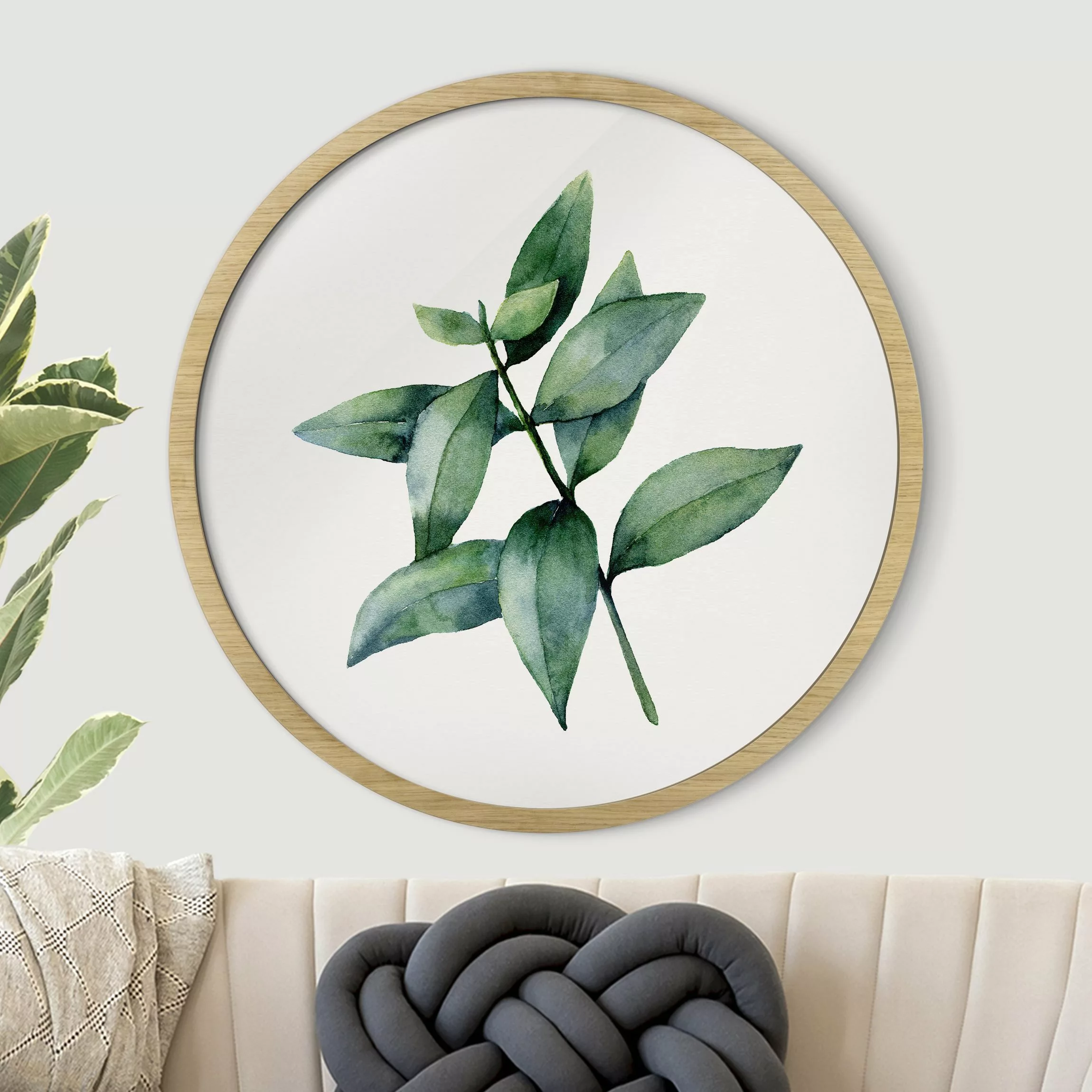 Rundes Gerahmtes Bild Aquarell Eucalyptus III günstig online kaufen
