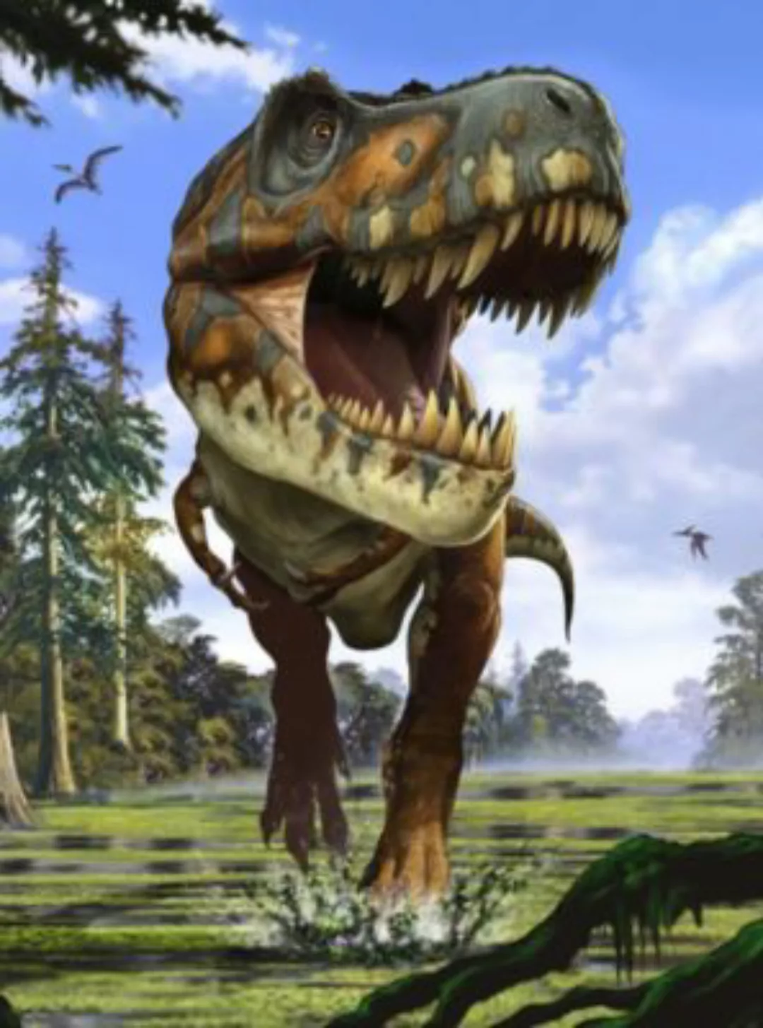 KOMAR Vlies Fototapete - Tyrannosaurus Rex - Größe 184 x 248 cm mehrfarbig günstig online kaufen