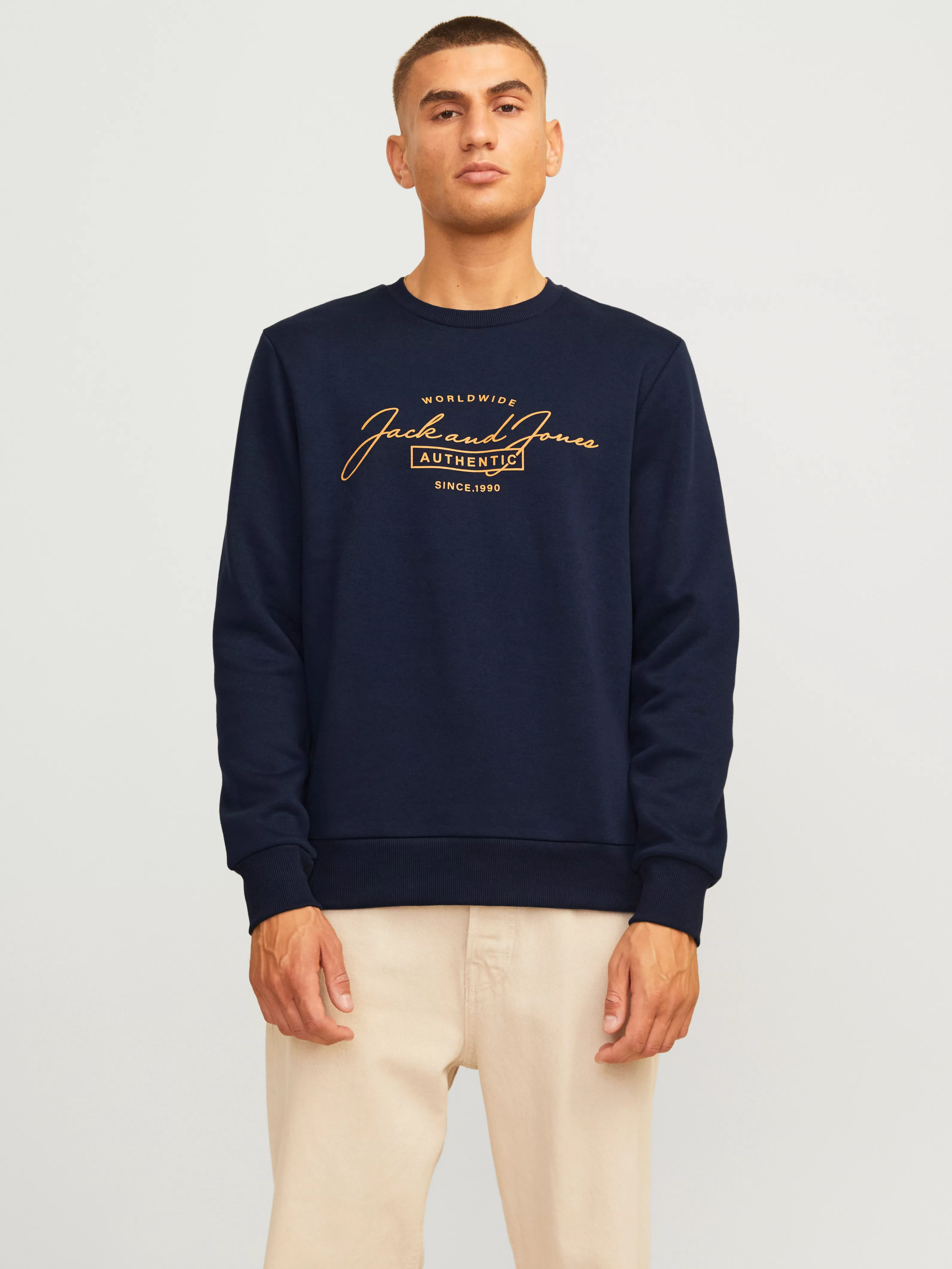 Jack & Jones Sweatshirt JJFERRIS SWEAT CREW NECK günstig online kaufen