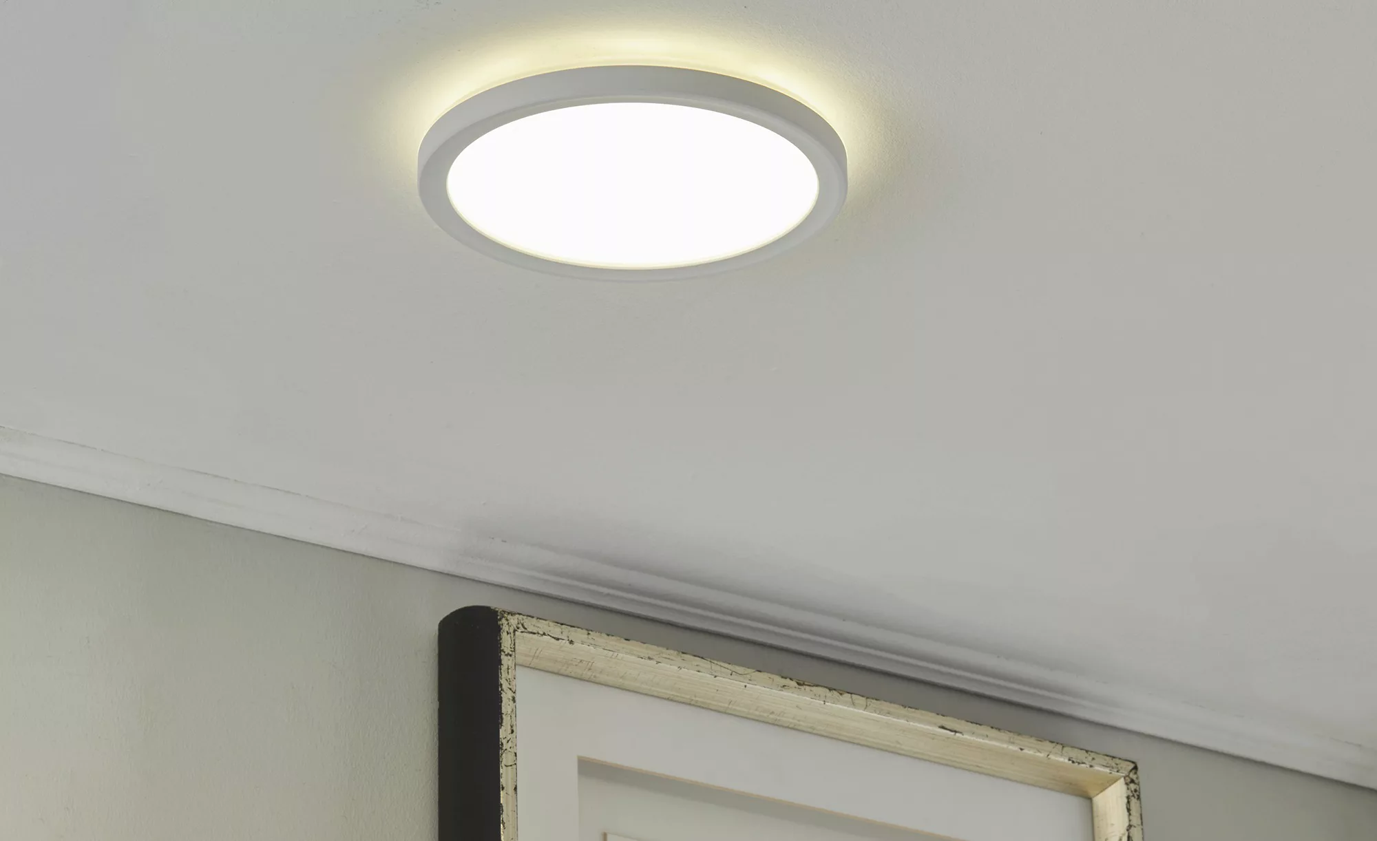 LED-Panel, weiß mit Hintergrundbeleuchtung ¦ weiß ¦ Maße (cm): H: 2,5  Ø: 1 günstig online kaufen