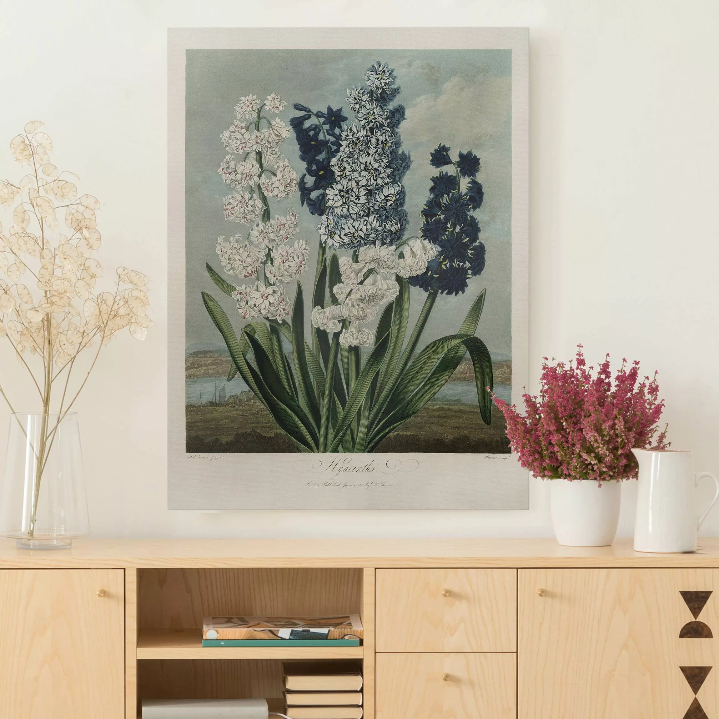 Leinwandbild Botanik Vintage Illustration Blaue und weiße Hyazinthen günstig online kaufen