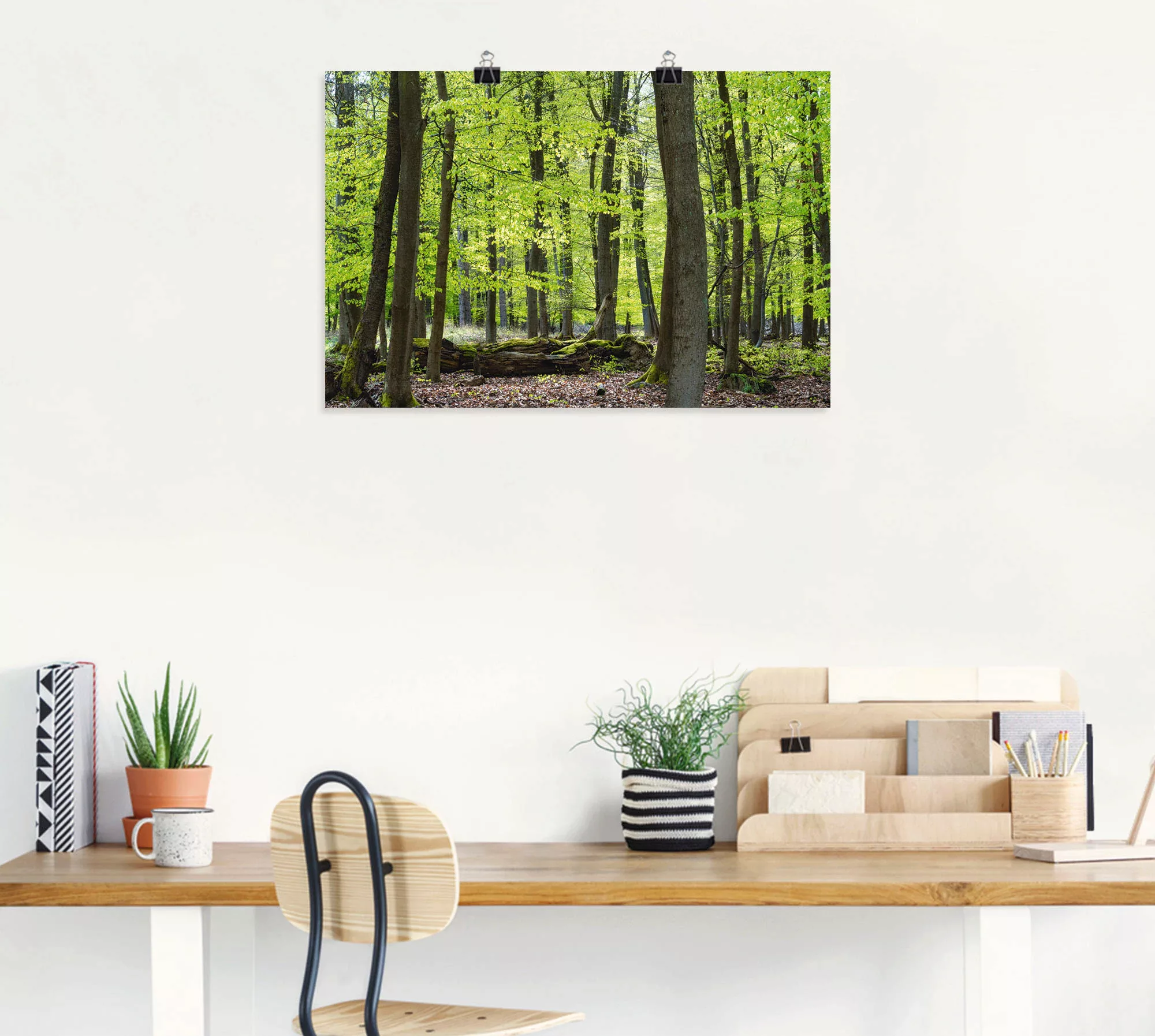 Artland Poster »Laubwald im Frühjahr«, Wald, (1 St.) günstig online kaufen
