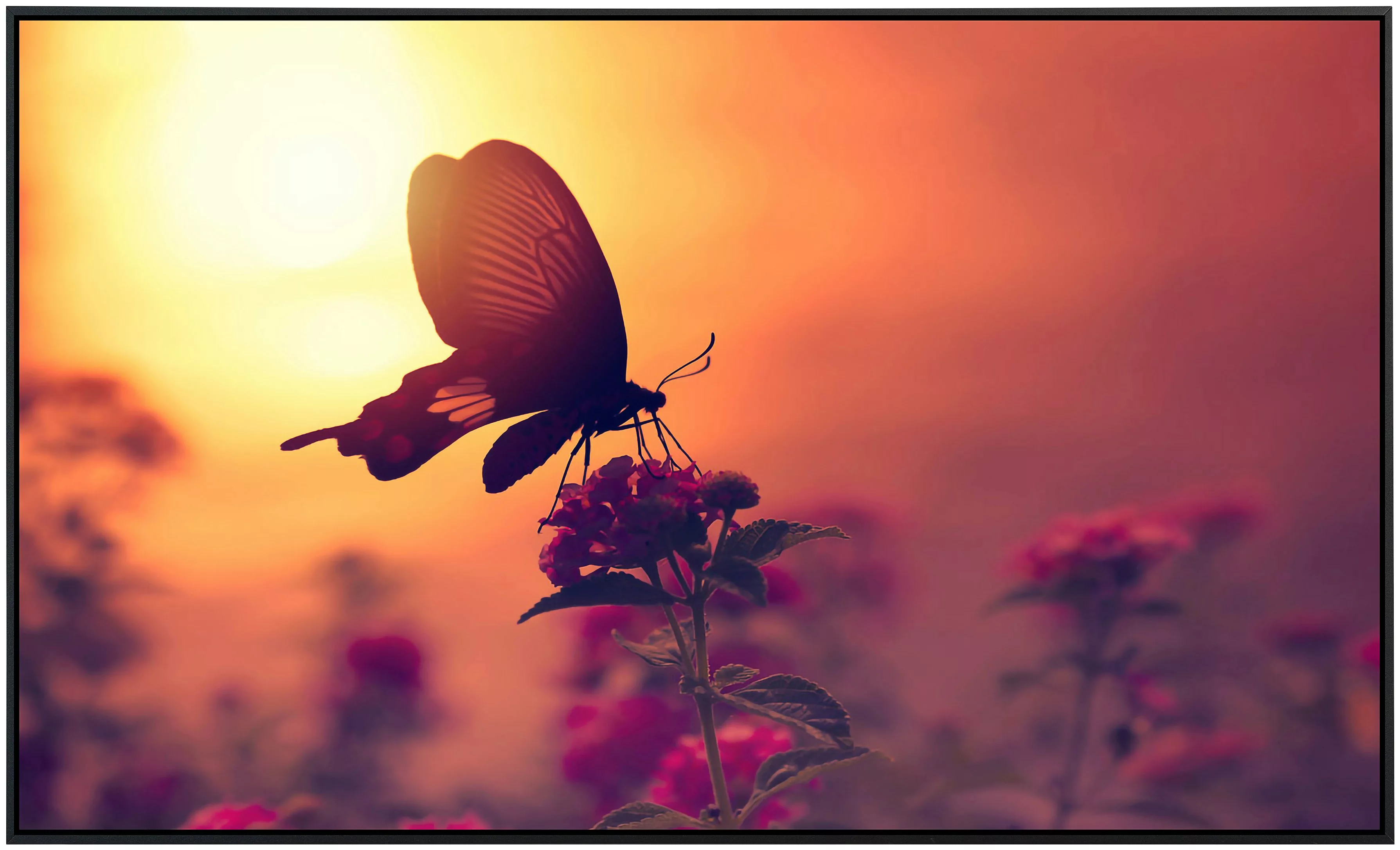 Papermoon Infrarotheizung »Schmetterling auf Blume«, sehr angenehme Strahlu günstig online kaufen