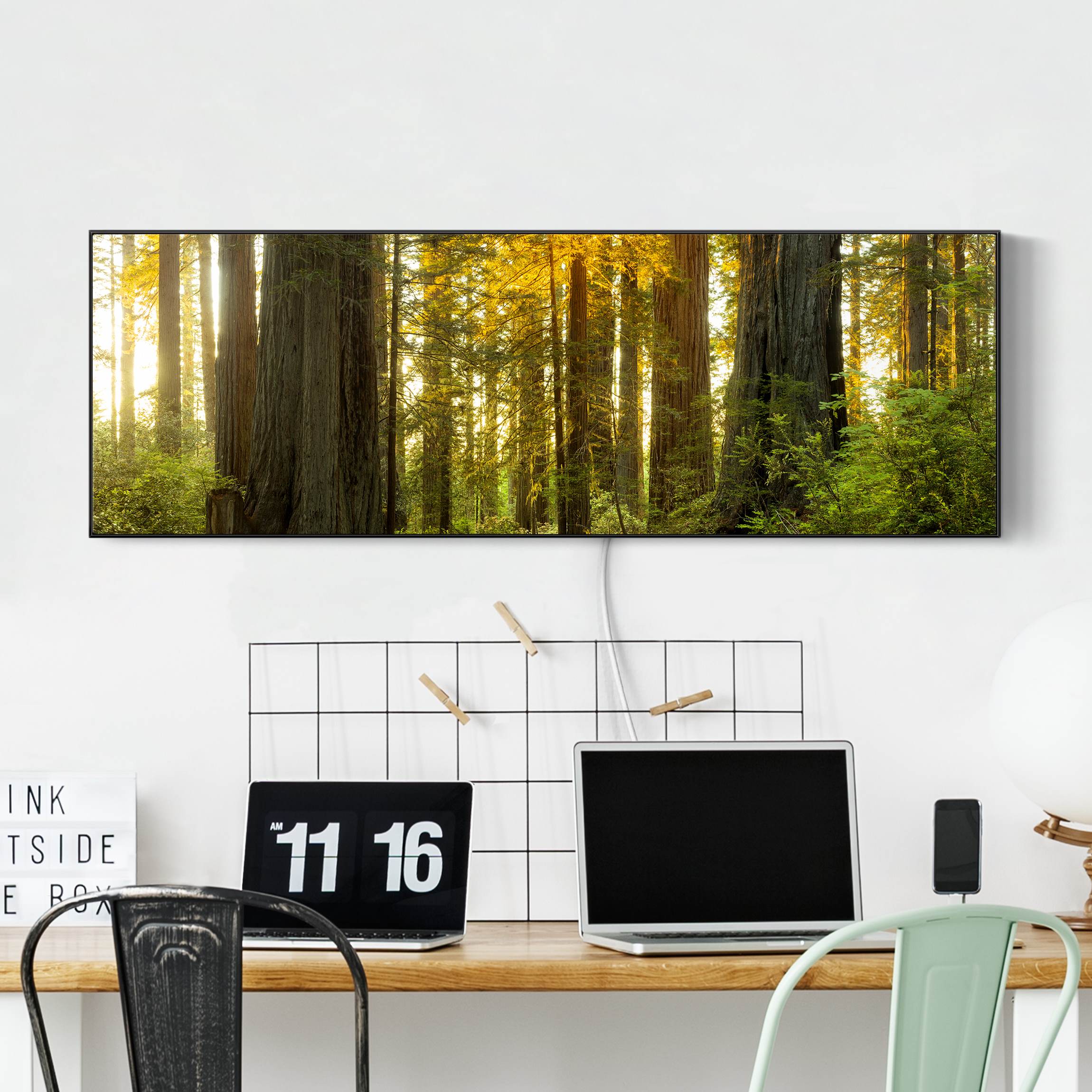 LED-Wechselbild Redwood National Park günstig online kaufen