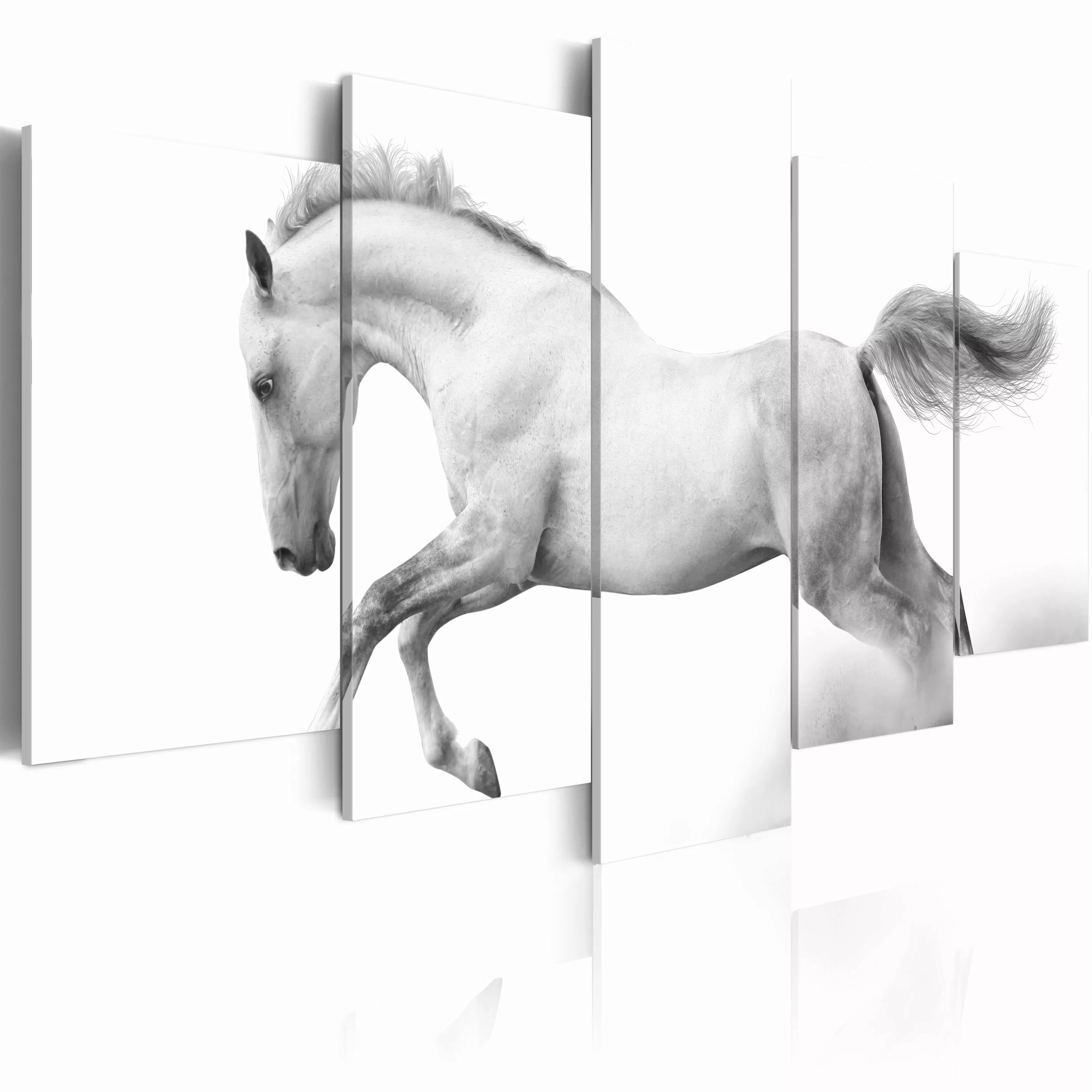 Wandbild - Pferd - Leidenschaft Und Freiheit günstig online kaufen
