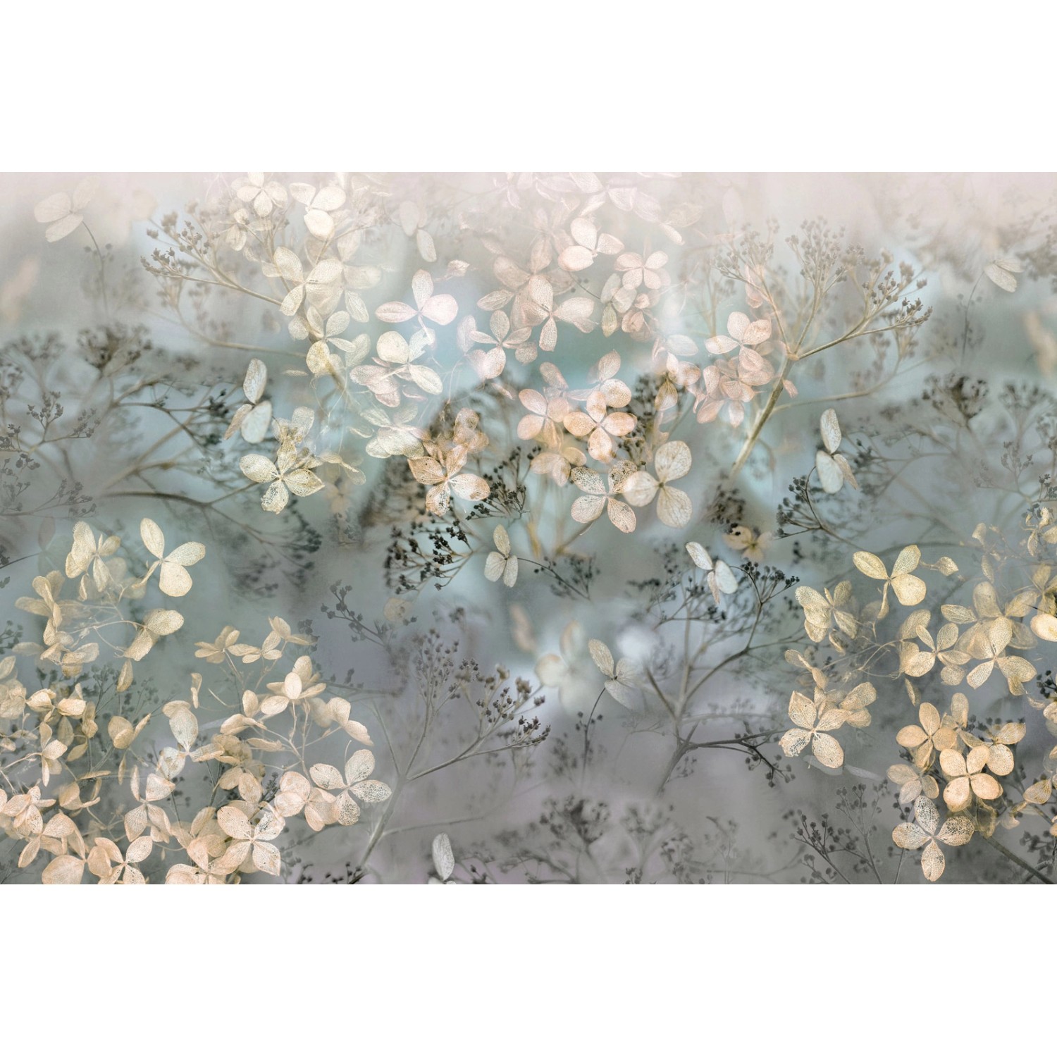 Bricoflor Florale Tapete Transparent Vlies Fototapete mit Blumen im Herbst günstig online kaufen