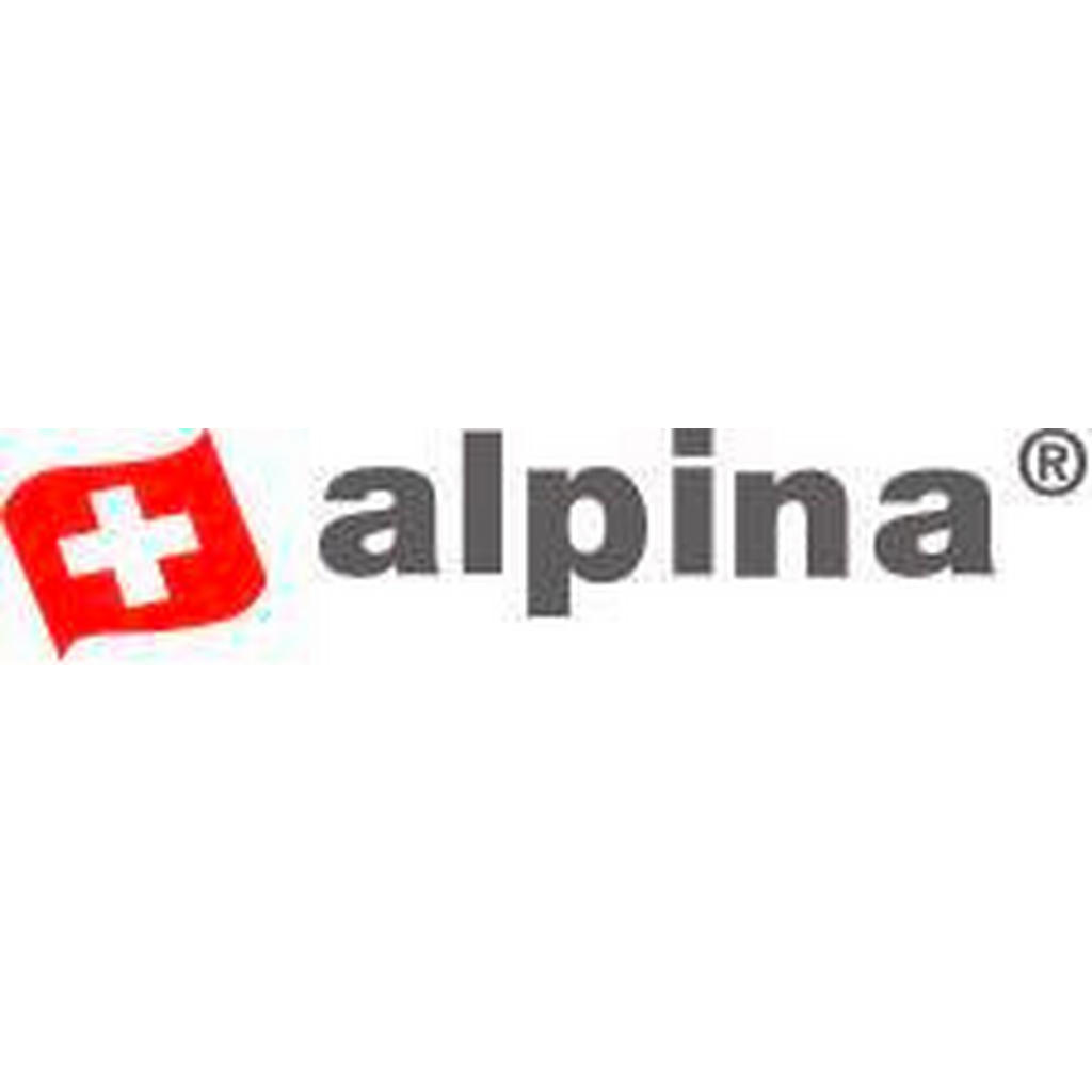 Alpina Elektrokamin B/H/T: ca. 59x41x26 cm günstig online kaufen