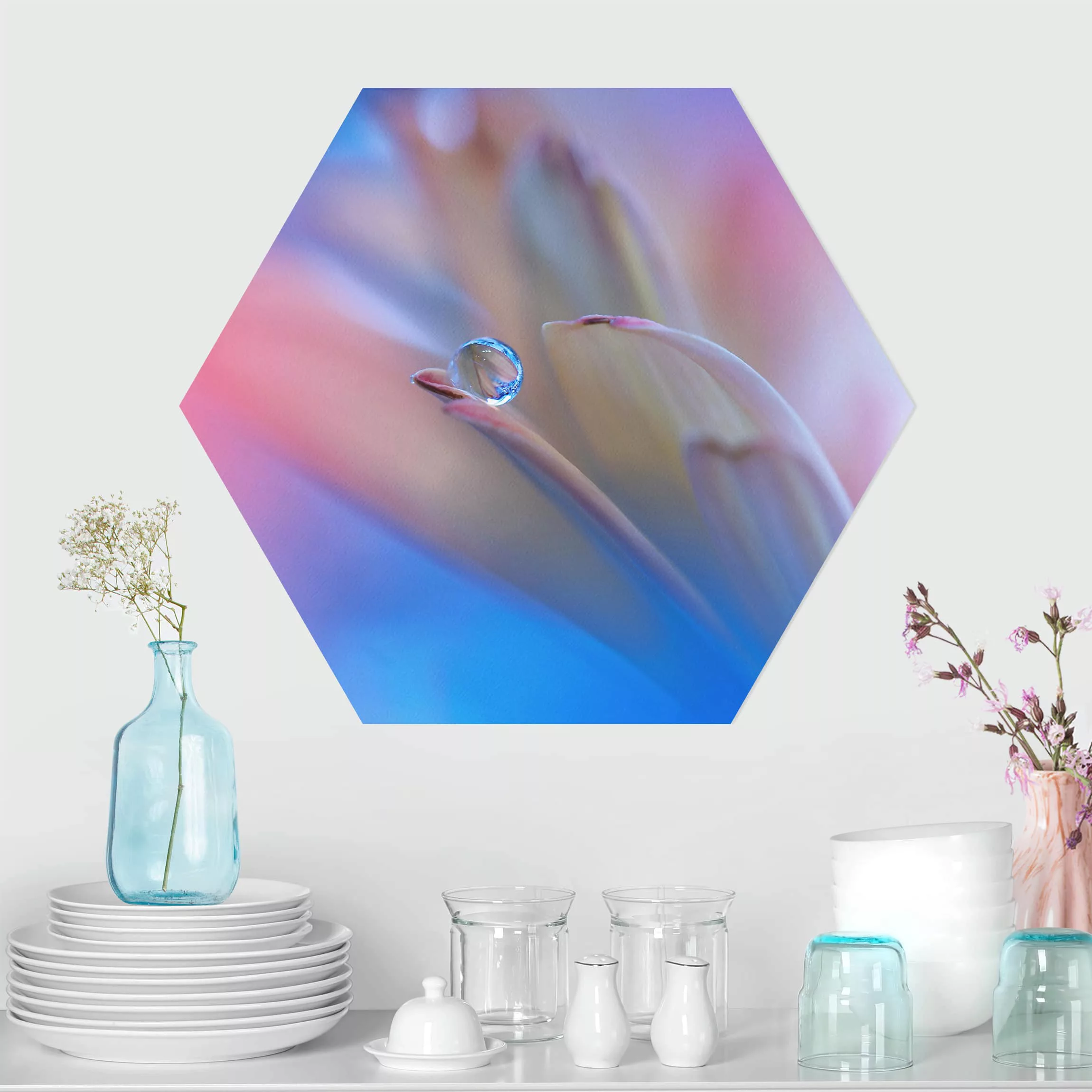 Hexagon-Alu-Dibond Bild Blumen Touch Me Softly günstig online kaufen