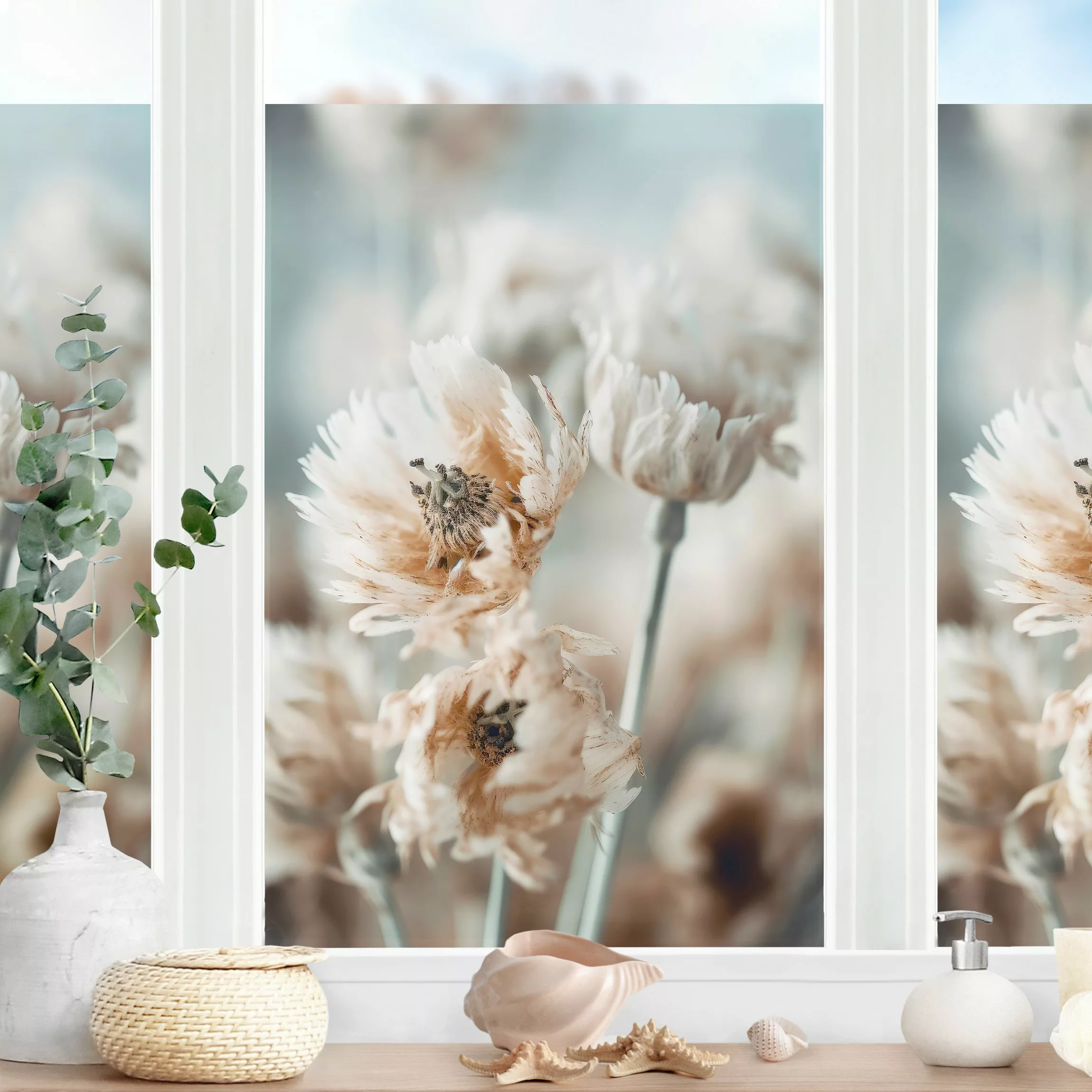 Fensterfolie Blumen Nahaufnahme günstig online kaufen