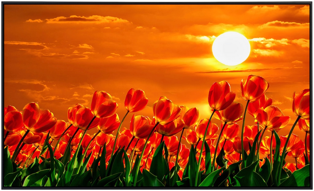 Papermoon Infrarotheizung »Rote Tulpen«, sehr angenehme Strahlungswärme günstig online kaufen
