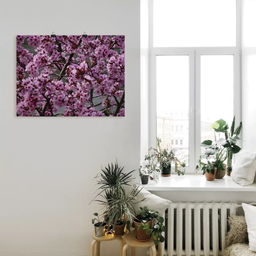 Artland Wandbild "Japanische Zierkirschen Blüte", Bäume, (1 St.), als Leinw günstig online kaufen