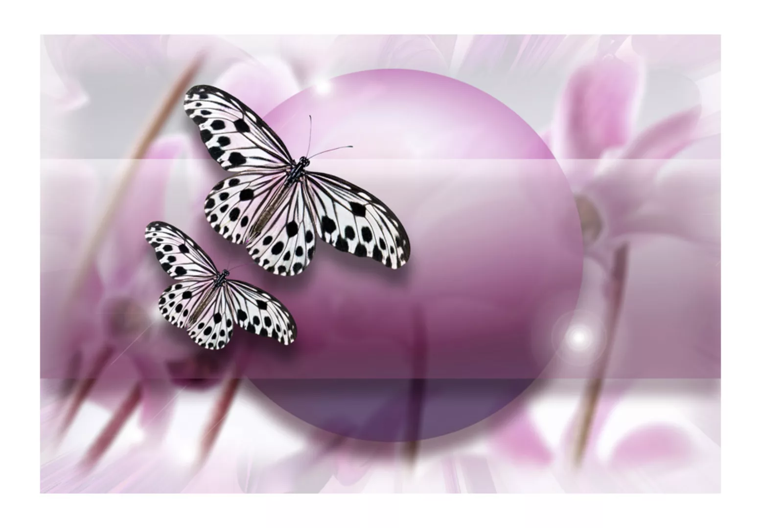 Fototapete - Fly, Butterfly! günstig online kaufen