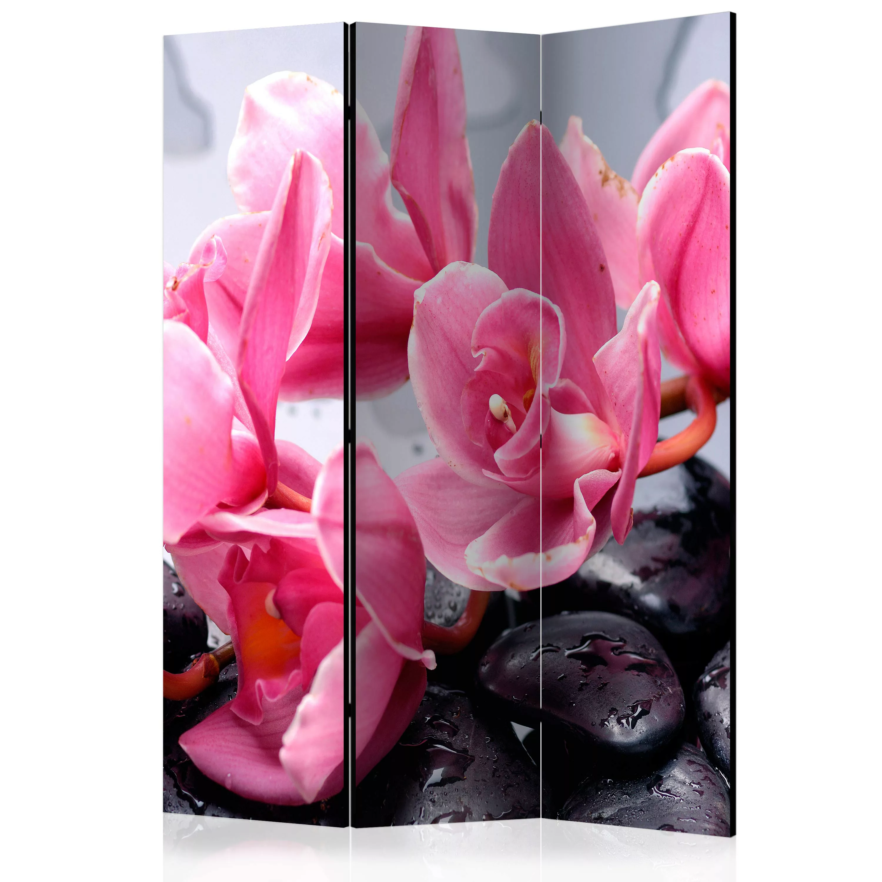 3-teiliges Paravent - Orchid Flowers With Zen Stones [room Dividers] günstig online kaufen