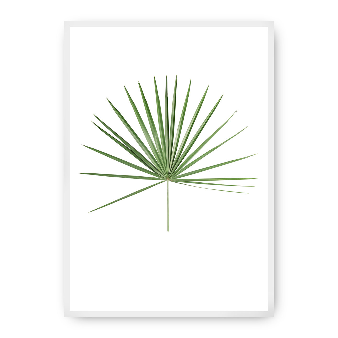 Poster Tropical Leaf Green, 21 x 30 cm, Rahmen wählen: weiss günstig online kaufen