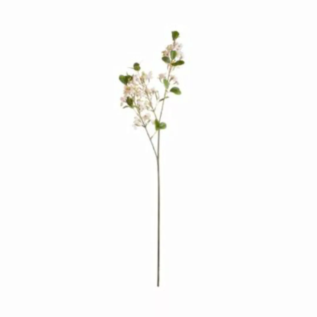 BUTLERS FLORISTA Blütenzweig Höhe 65cm hellrosa günstig online kaufen