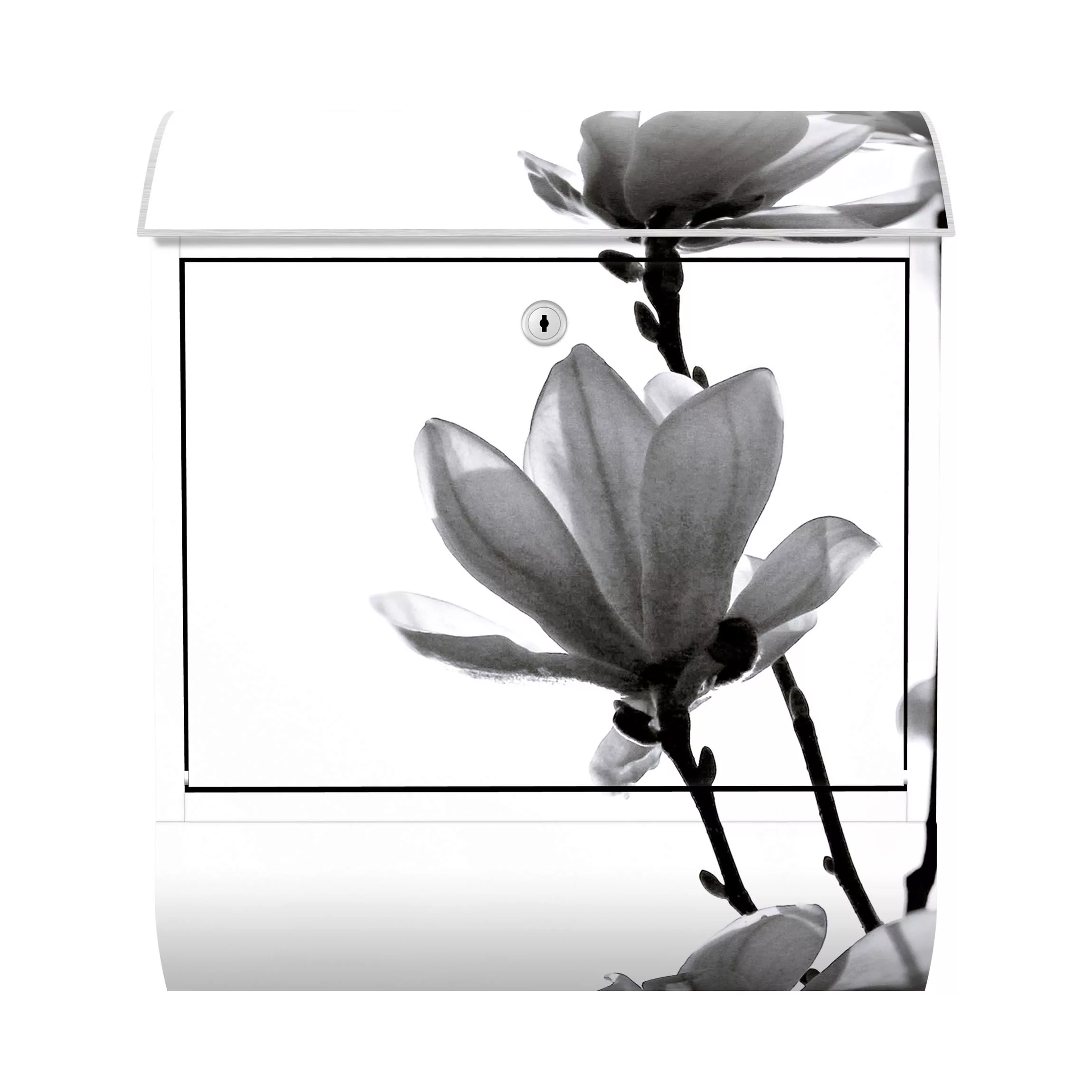 Briefkasten Blumen Frühlingsbote Magnolie Schwarz Weiß günstig online kaufen
