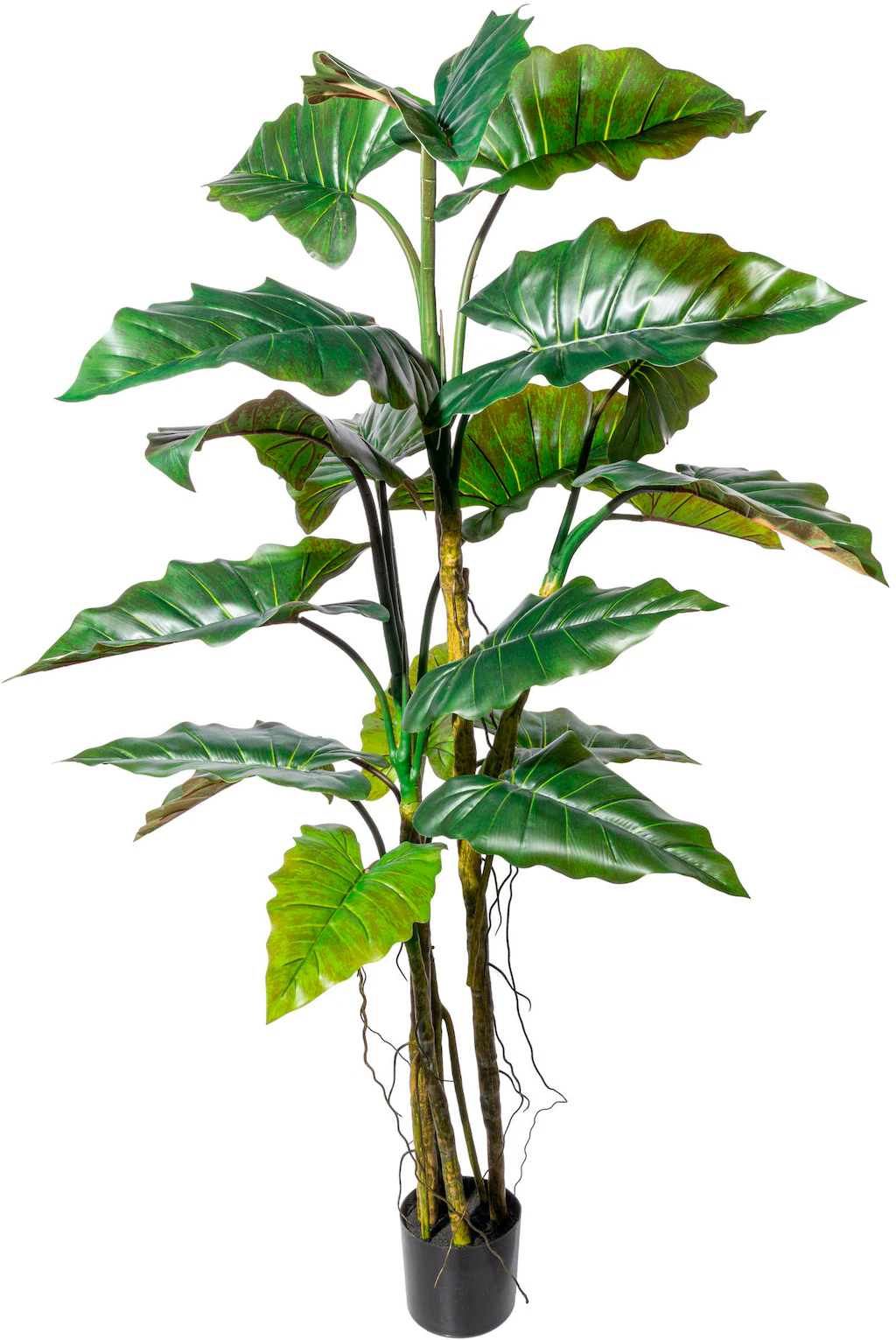 Creativ green Kunstbaum "Colocasia" günstig online kaufen