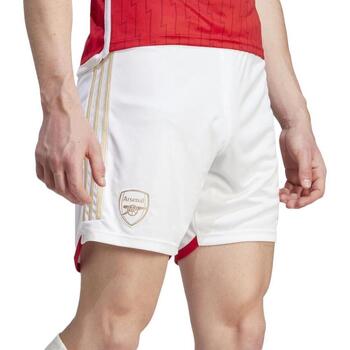 adidas  T-Shirts & Poloshirts HR6924 günstig online kaufen