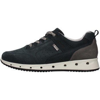 IgI&CO  Sneaker 1629500 günstig online kaufen