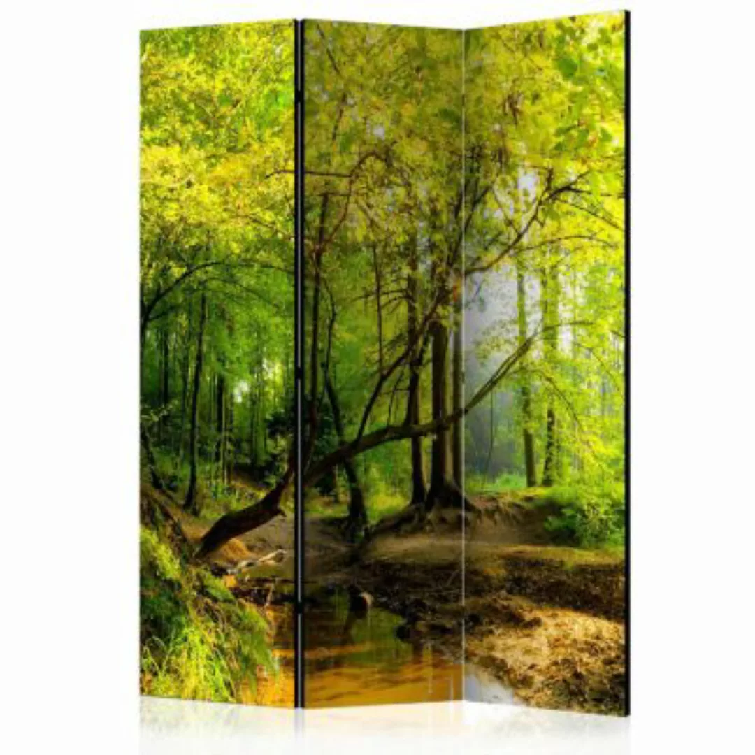 artgeist Paravent Forest Clearing [Room Dividers] grün-kombi Gr. 135 x 172 günstig online kaufen