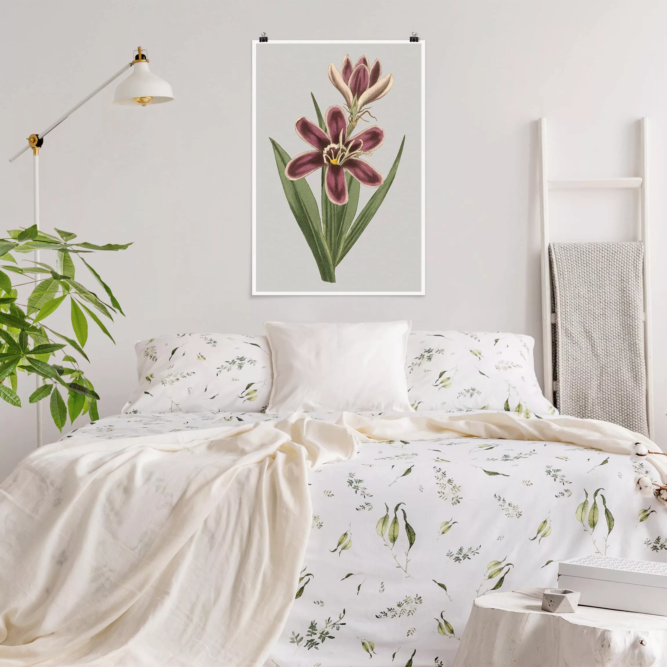 Poster - Hochformat Florale Schmuckstücke II günstig online kaufen