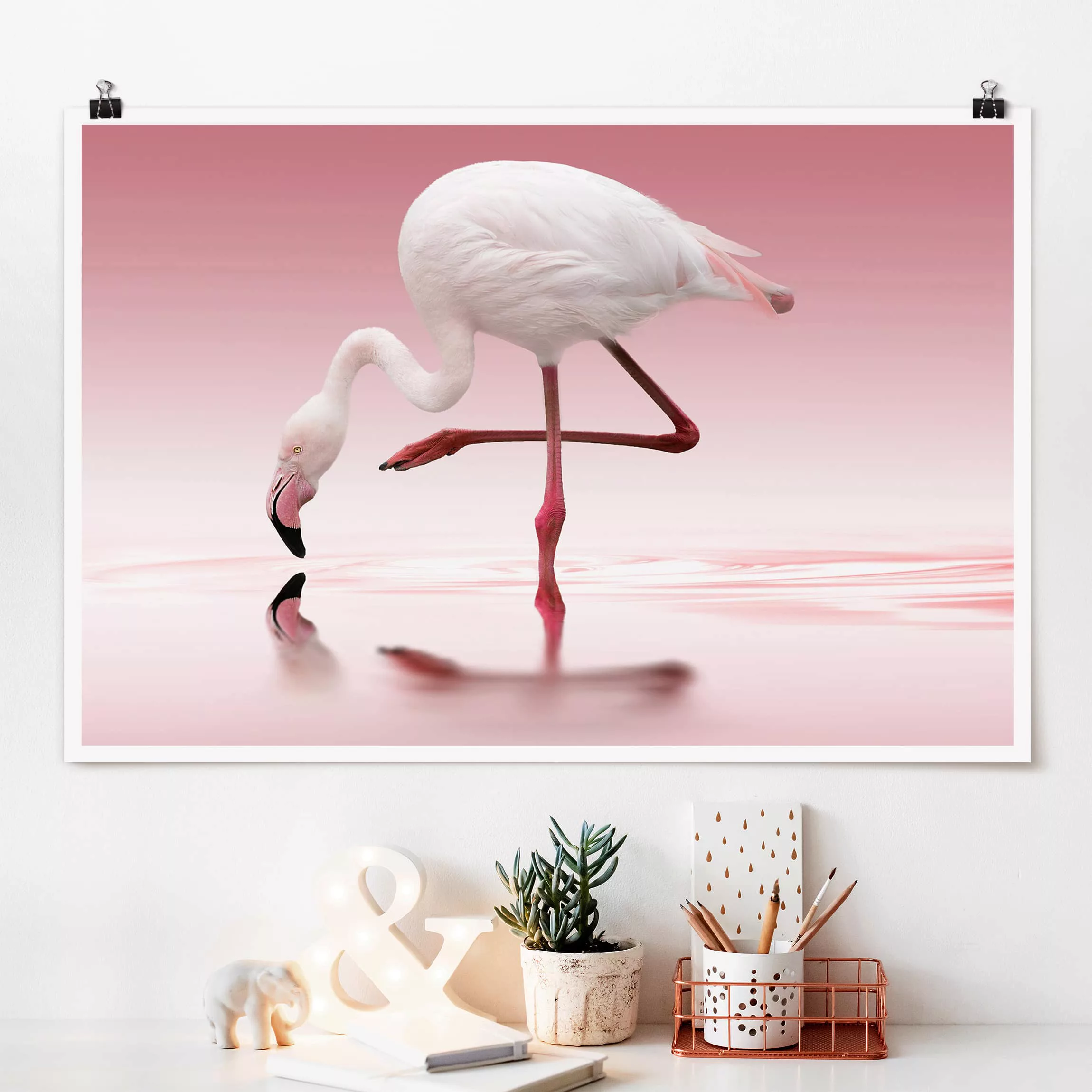 Poster Tiere - Querformat Flamingo Dance günstig online kaufen