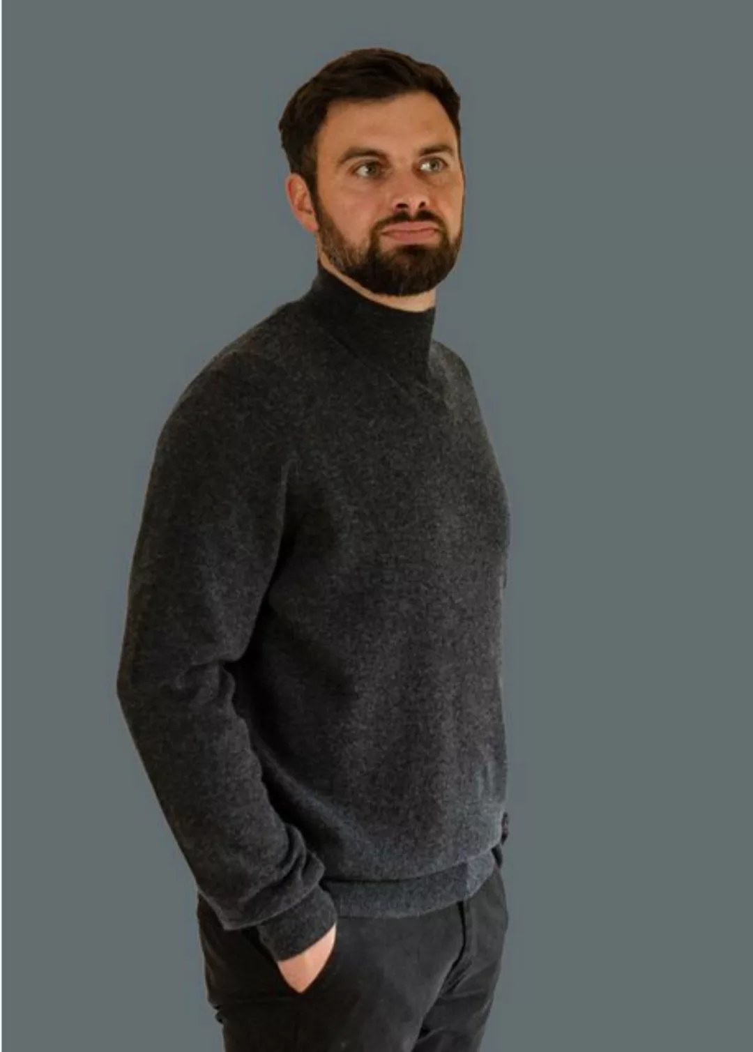 Ariun Kaschmirpullover Stehkragenpullover günstig online kaufen