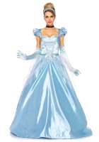Klassisches Aschenputtel-Kleid günstig online kaufen