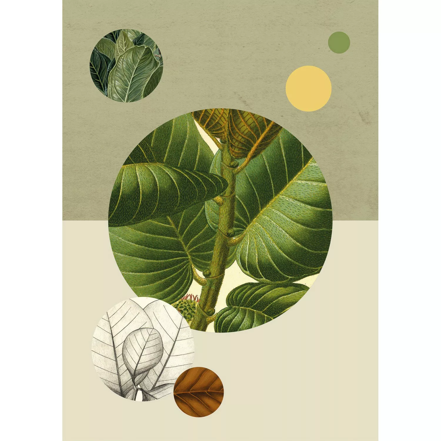 Komar Poster "Green Structure", Pflanzen-Blätter, (1 St.) günstig online kaufen
