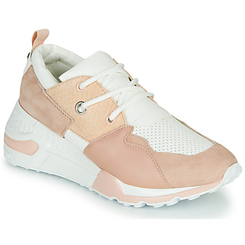 Steve Madden  Sneaker CLIFF günstig online kaufen