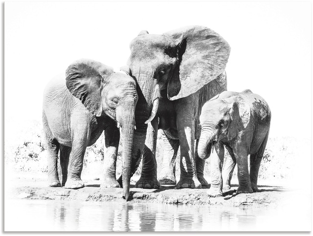 Artland Wandbild "Elefantenmutter mit Kindern", Elefanten Bilder, (1 St.), günstig online kaufen