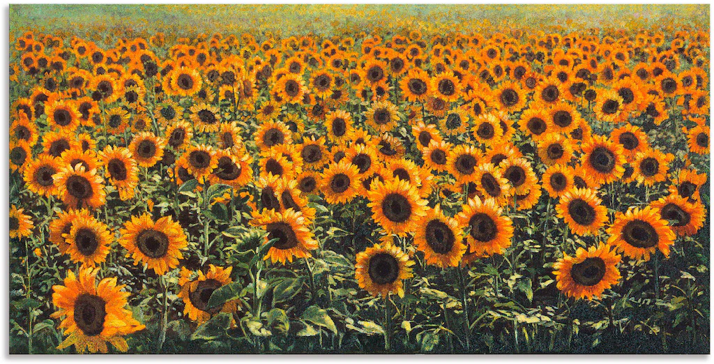 Artland Wandbild "Sonnenblumenfeld", Blumenwiese, (1 St.), als Alubild, Out günstig online kaufen