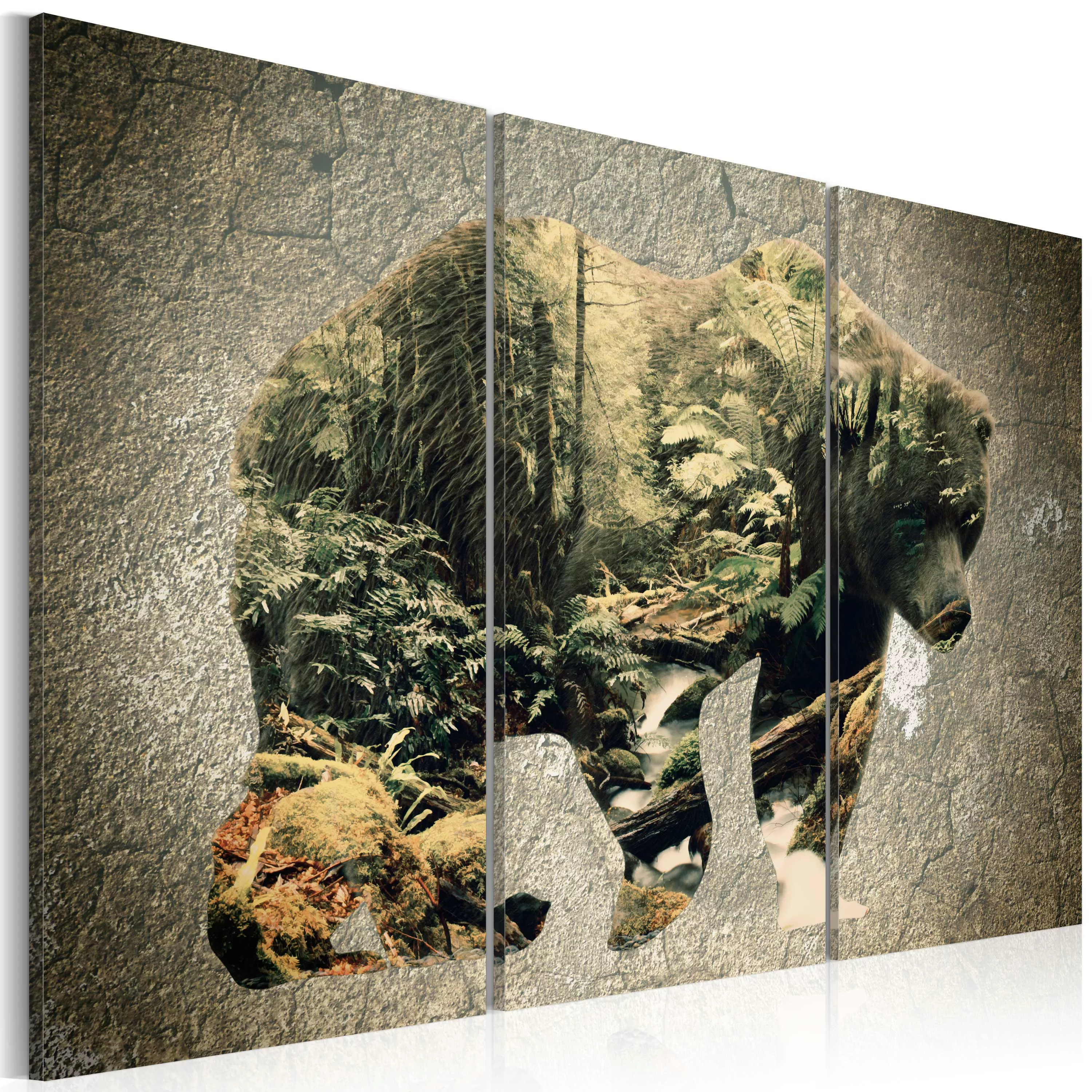Wandbild - The Bear In The Forest günstig online kaufen