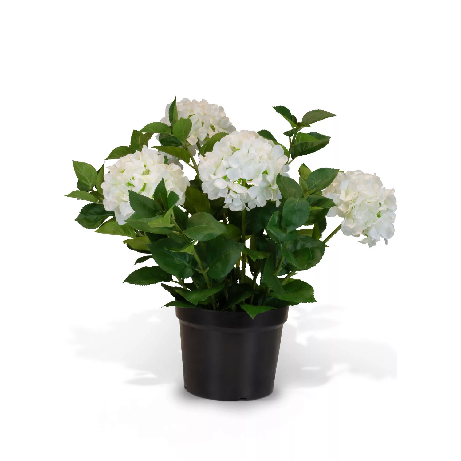 Hortensie - Hydrangea Kunstpflanze, 5 Blüten weiß günstig online kaufen