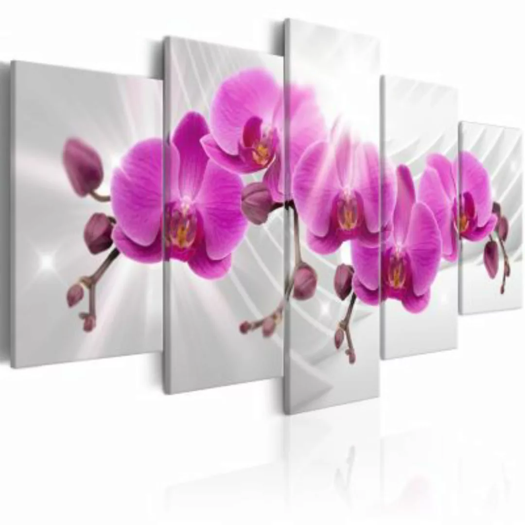 artgeist Wandbild Abstract Garden: Pink Orchids mehrfarbig Gr. 200 x 100 günstig online kaufen