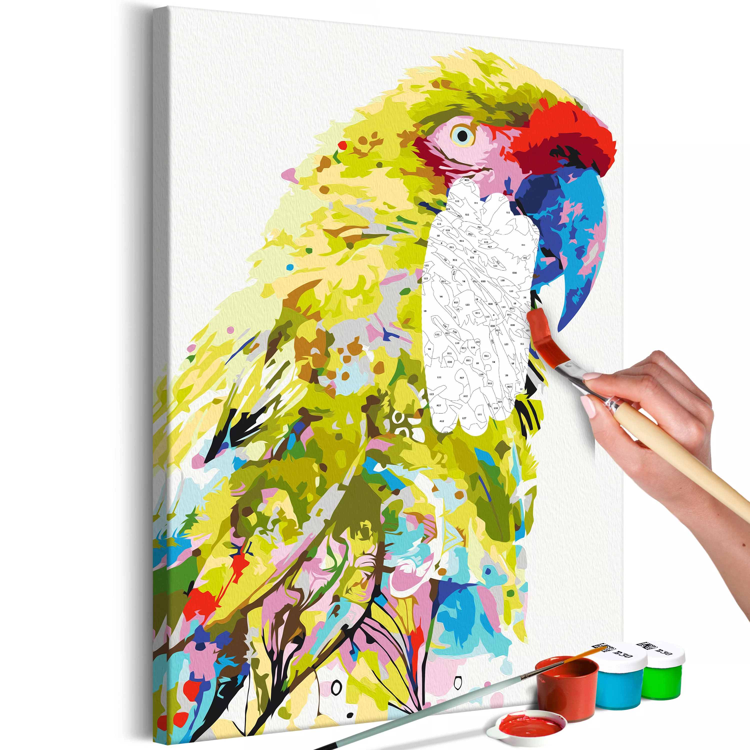 Malen Nach Zahlen - Tropical Parrot günstig online kaufen