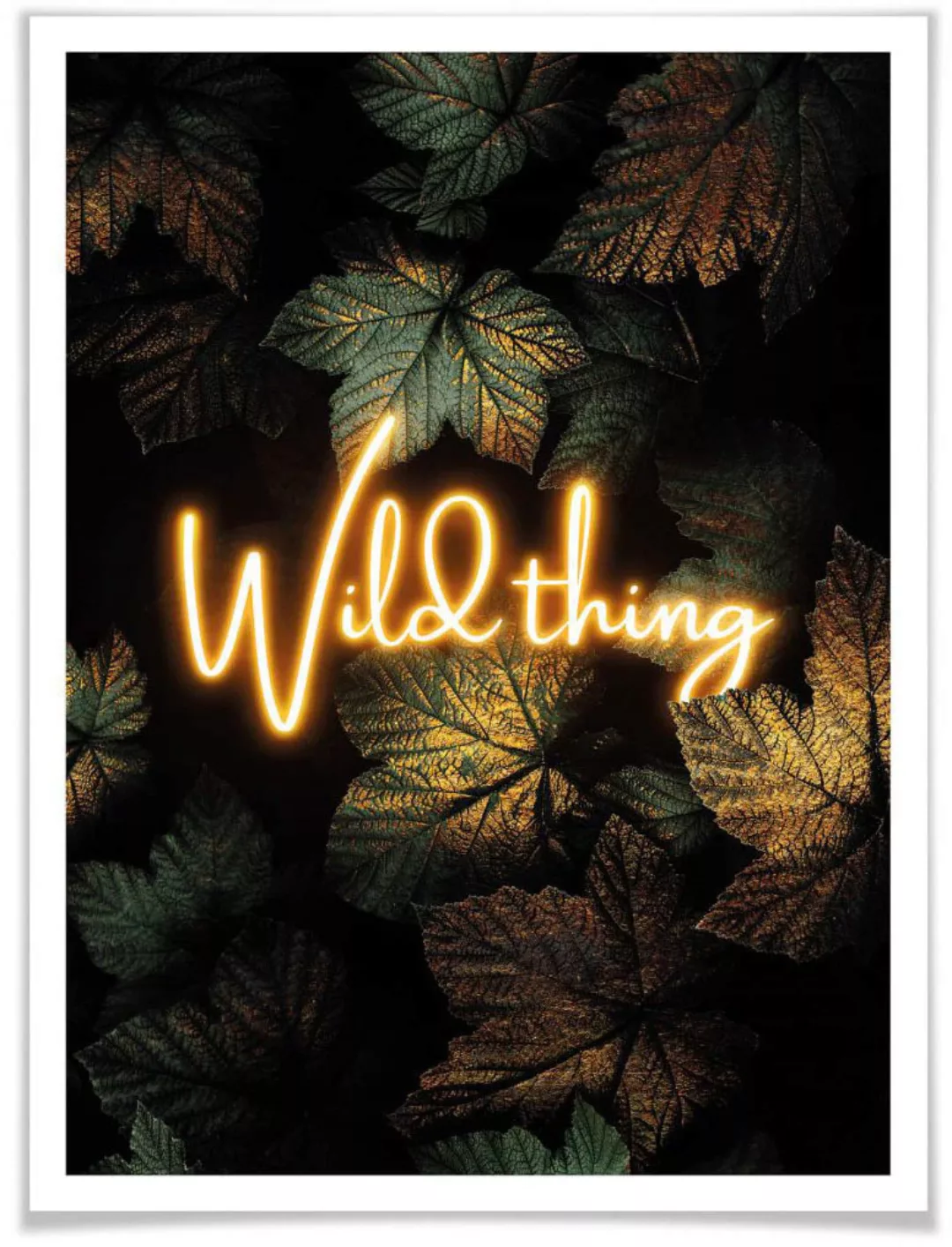 Wall-Art Poster "Wild Thing", Schriftzug, (1 St.), Poster ohne Bilderrahmen günstig online kaufen