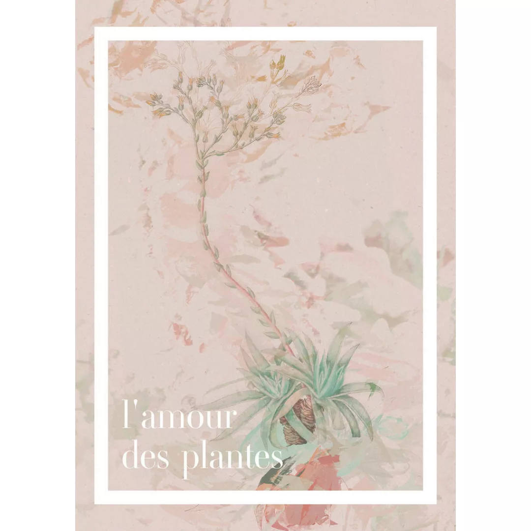 Komar Wandbild L'amour des plantes Spruch B/L: ca. 50x70 cm günstig online kaufen