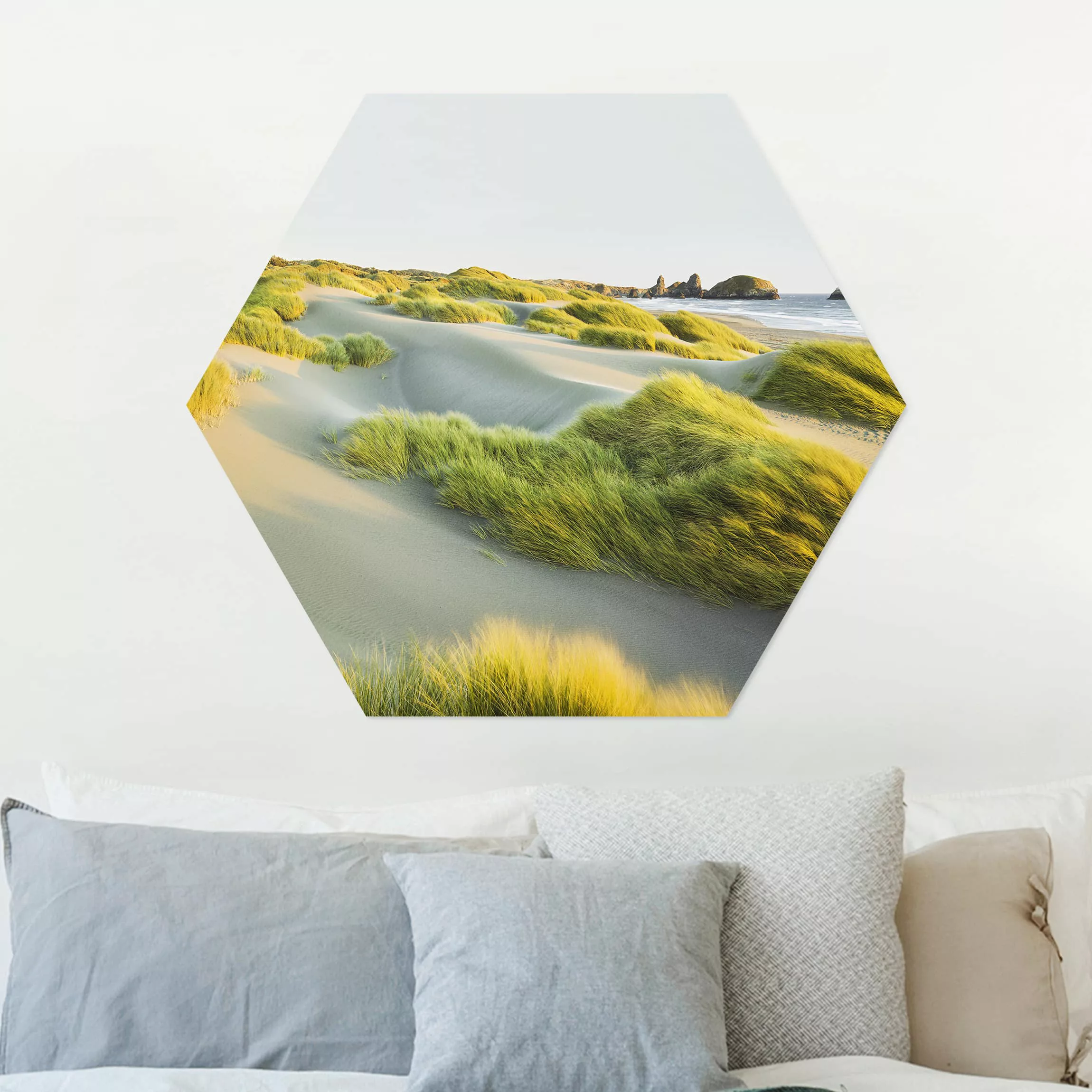 Hexagon-Alu-Dibond Bild Dünen und Gräser am Meer günstig online kaufen