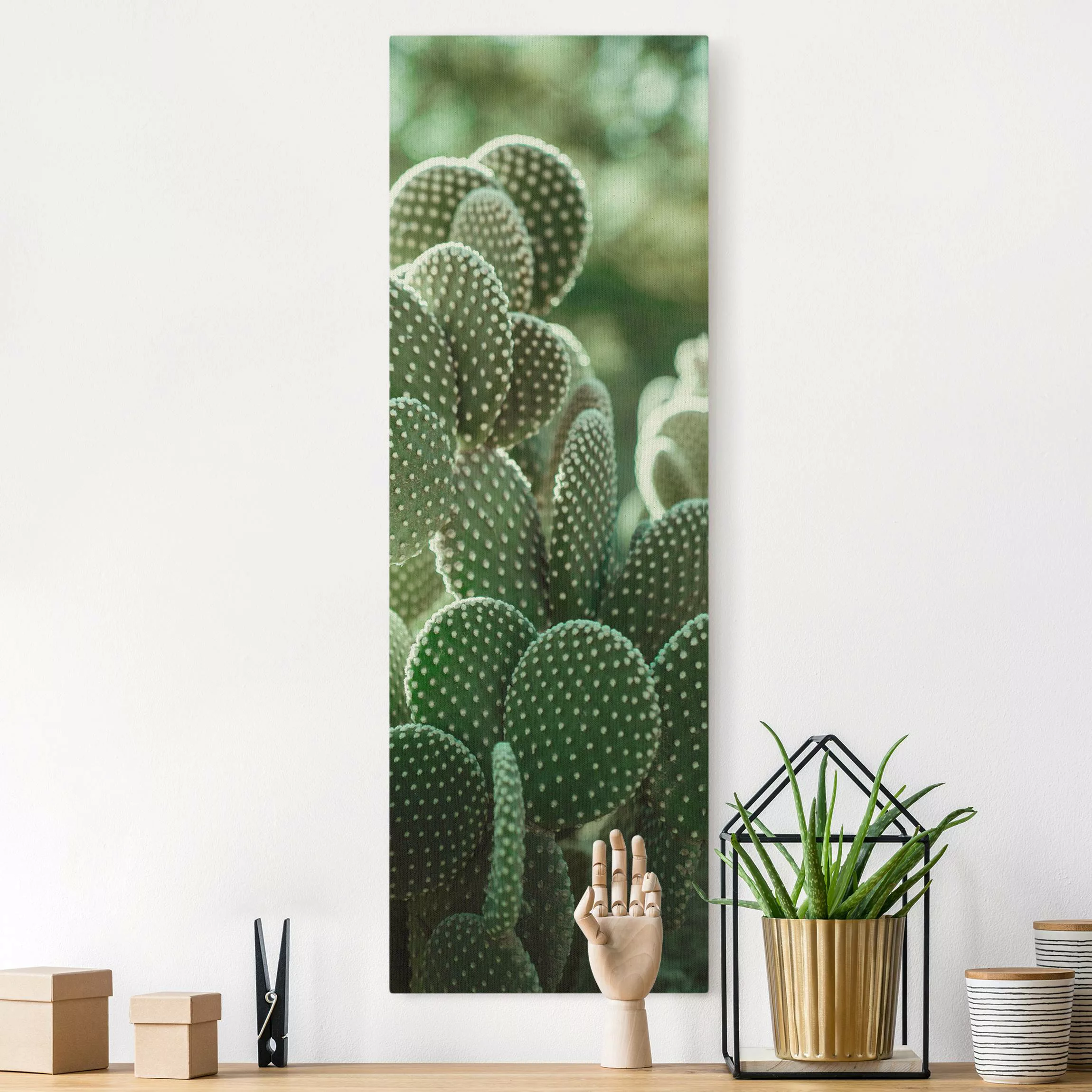 Leinwandbild auf Canvas Natural Kakteen günstig online kaufen