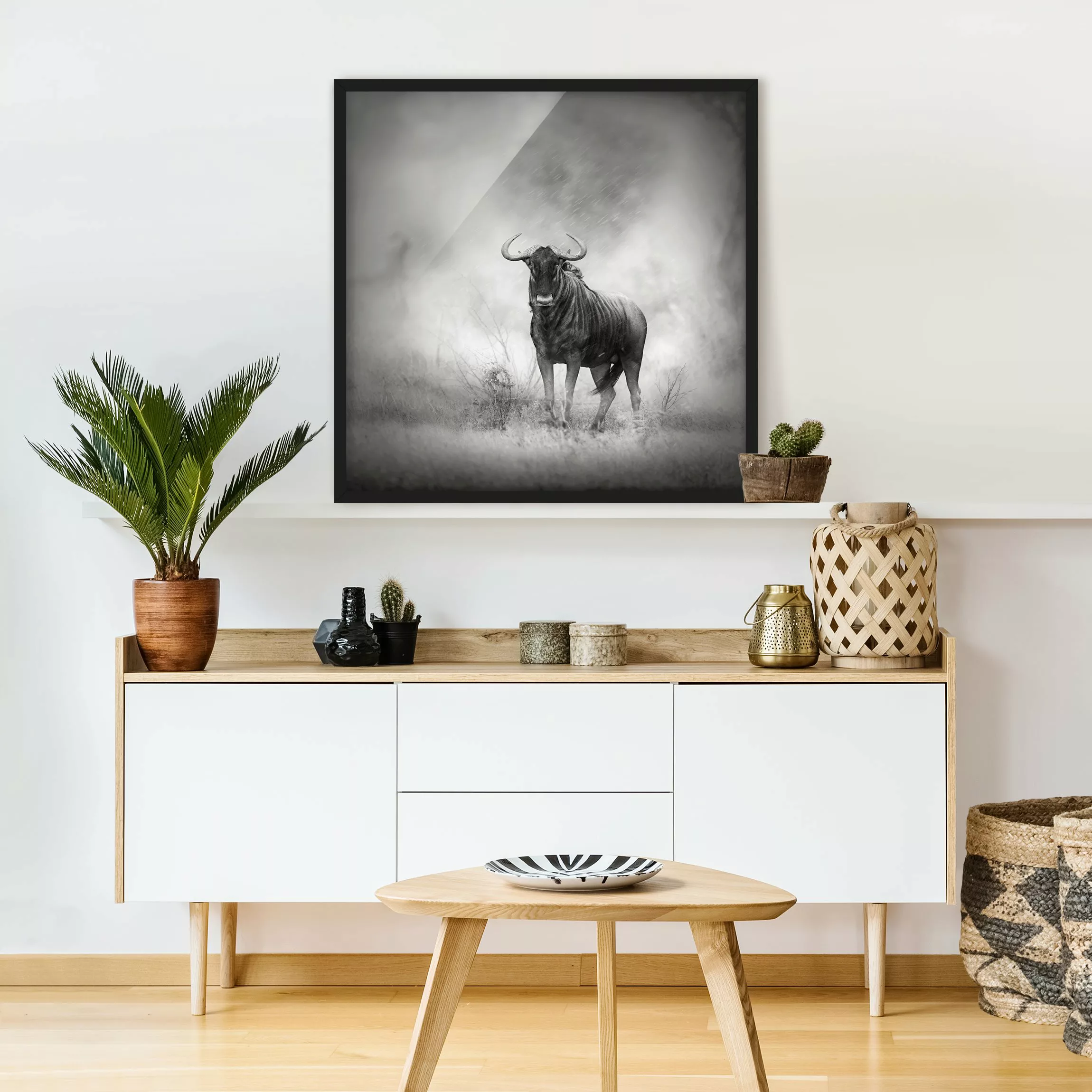Bild mit Rahmen Schwarz-Weiß - Quadrat Staring Wildebeest günstig online kaufen