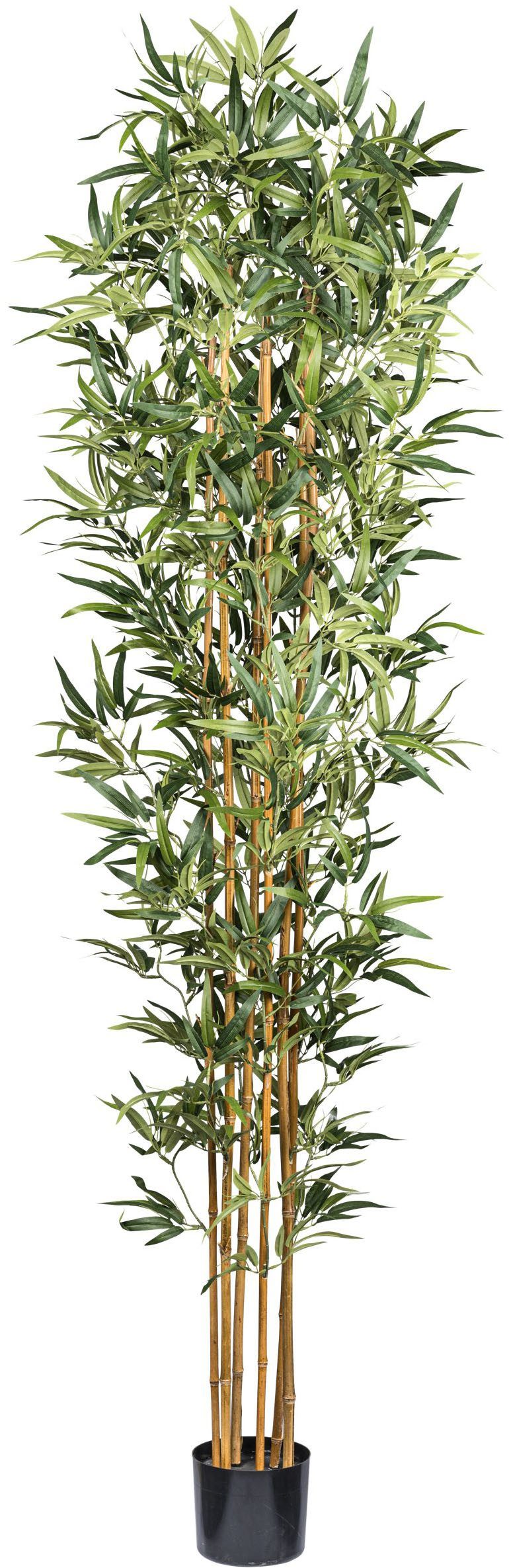 Kunstbaum Bambus Bambus, Creativ green, Höhe günstig online kaufen