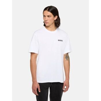Dickies  T-Shirts & Poloshirts SEELEY LAKE TEE - DK0A4Z9K0WH1-WHITE günstig online kaufen