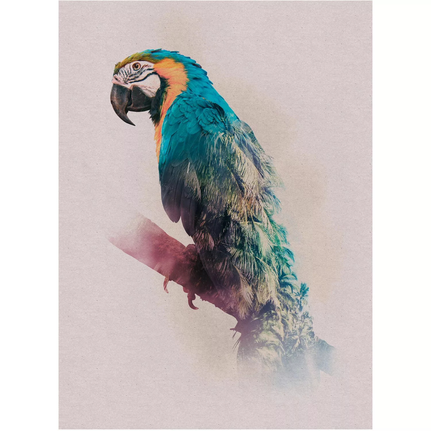 Komar Wandbild Animals Parrot 30 x 40 cm günstig online kaufen