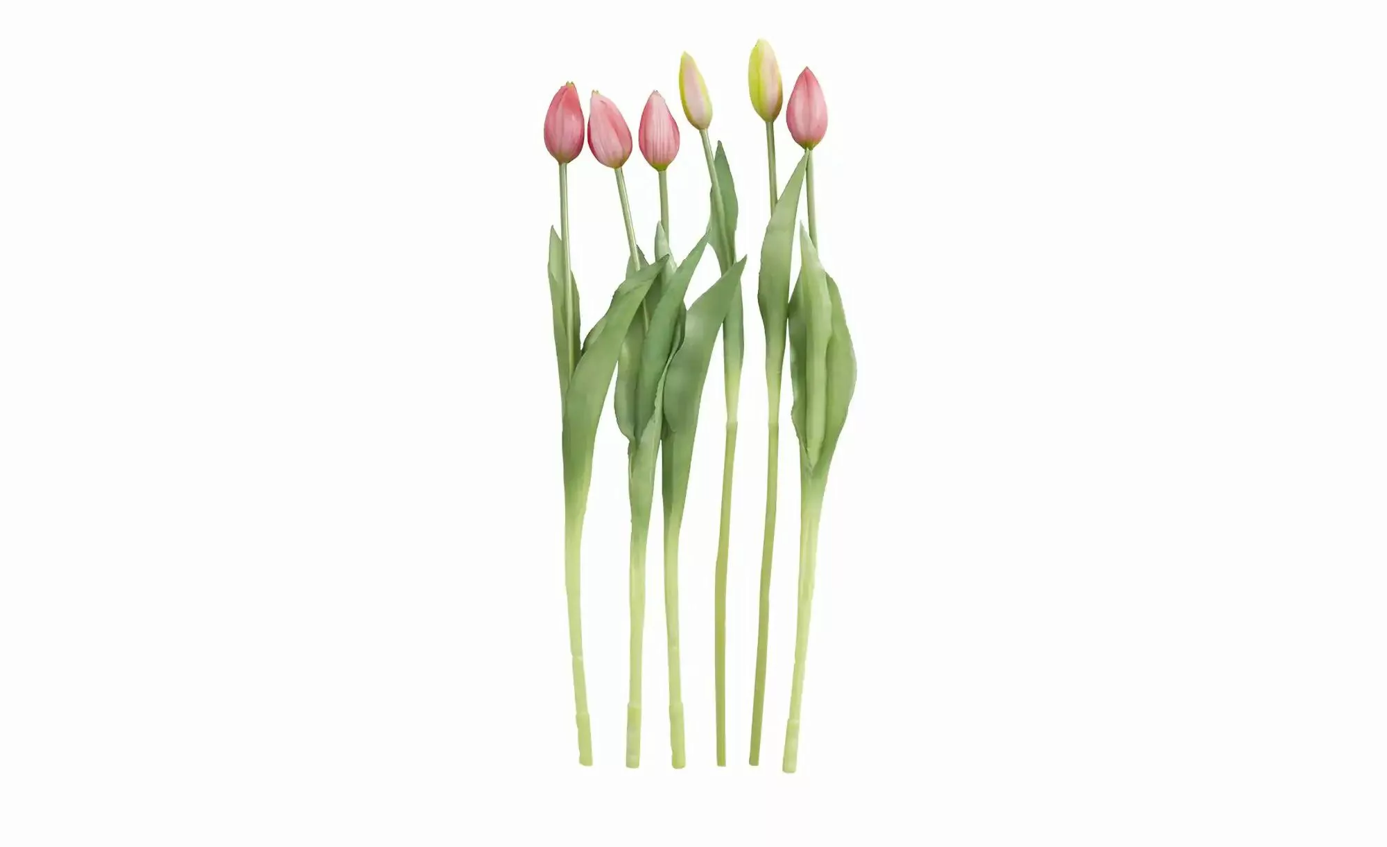 Tulpenbund, 7-fach ¦ rosa/pink ¦ Kunststoff, PVC ¦ Maße (cm): H: 44 Accesso günstig online kaufen