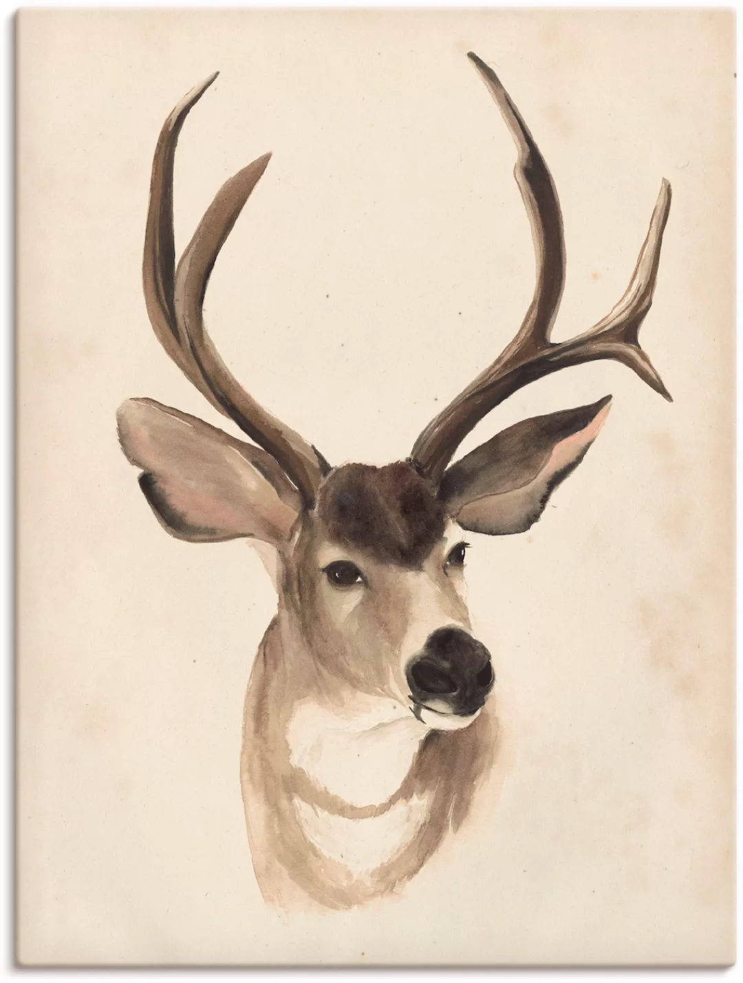 Artland Leinwandbild "Wasserfarben Tierlehre II", Wildtiere, (1 St.), auf K günstig online kaufen