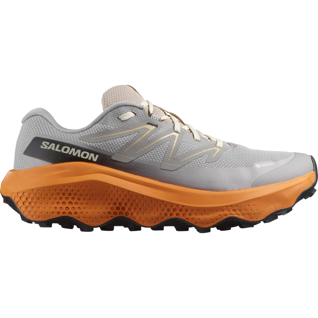 Salomon Laufschuh "ULTRA FLOW 2 GORE-TEX", wasserdicht günstig online kaufen