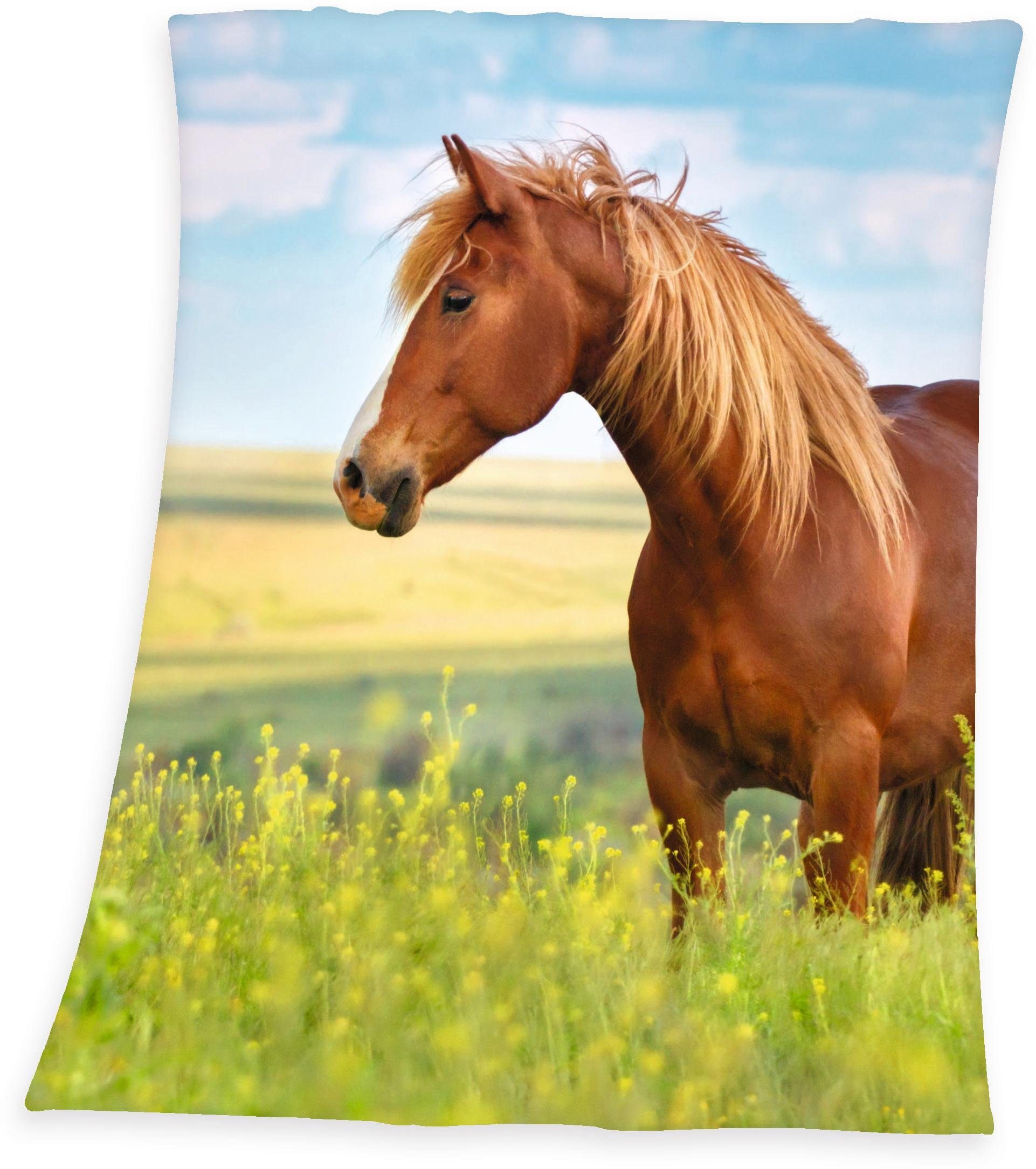 Kinderdecke Pferd, Herding Young Collection, mit günstig online kaufen