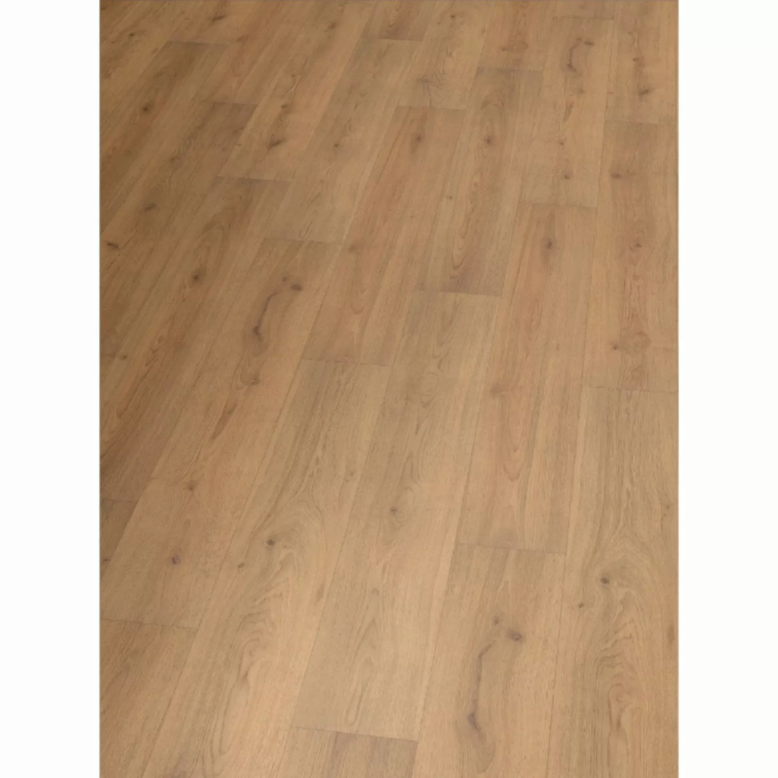 Hori Laminat HORI Laminat Holz, Boden günstig online kaufen