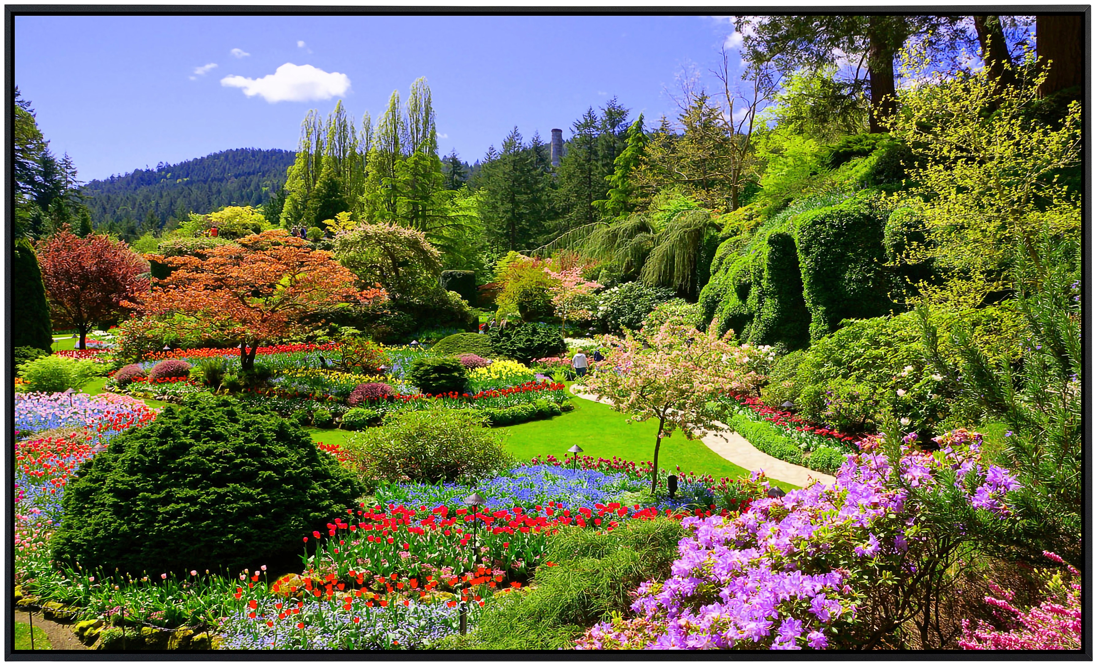 Papermoon Infrarotheizung »Butchart Gardens«, sehr angenehme Strahlungswärm günstig online kaufen